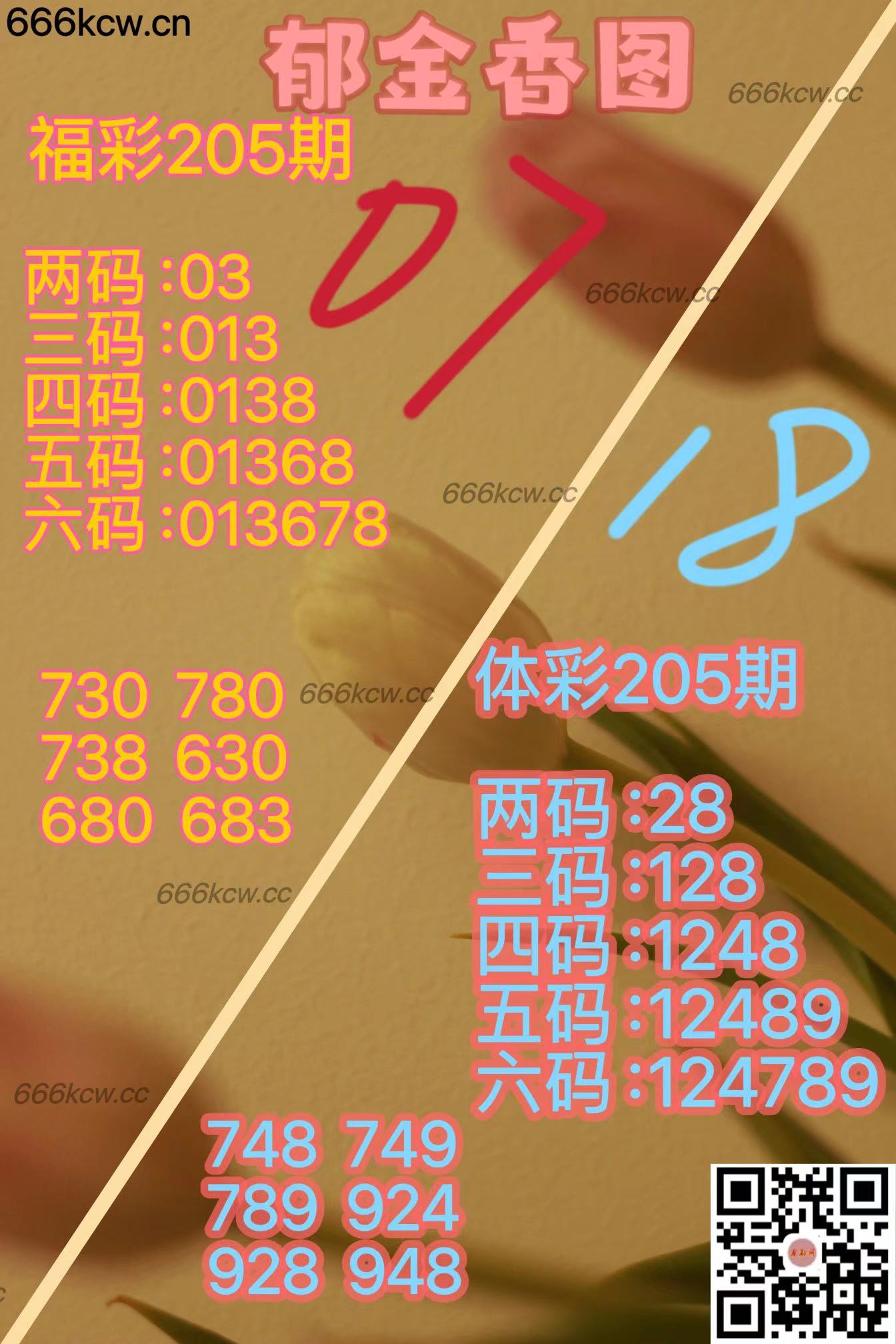 20250803 (19)