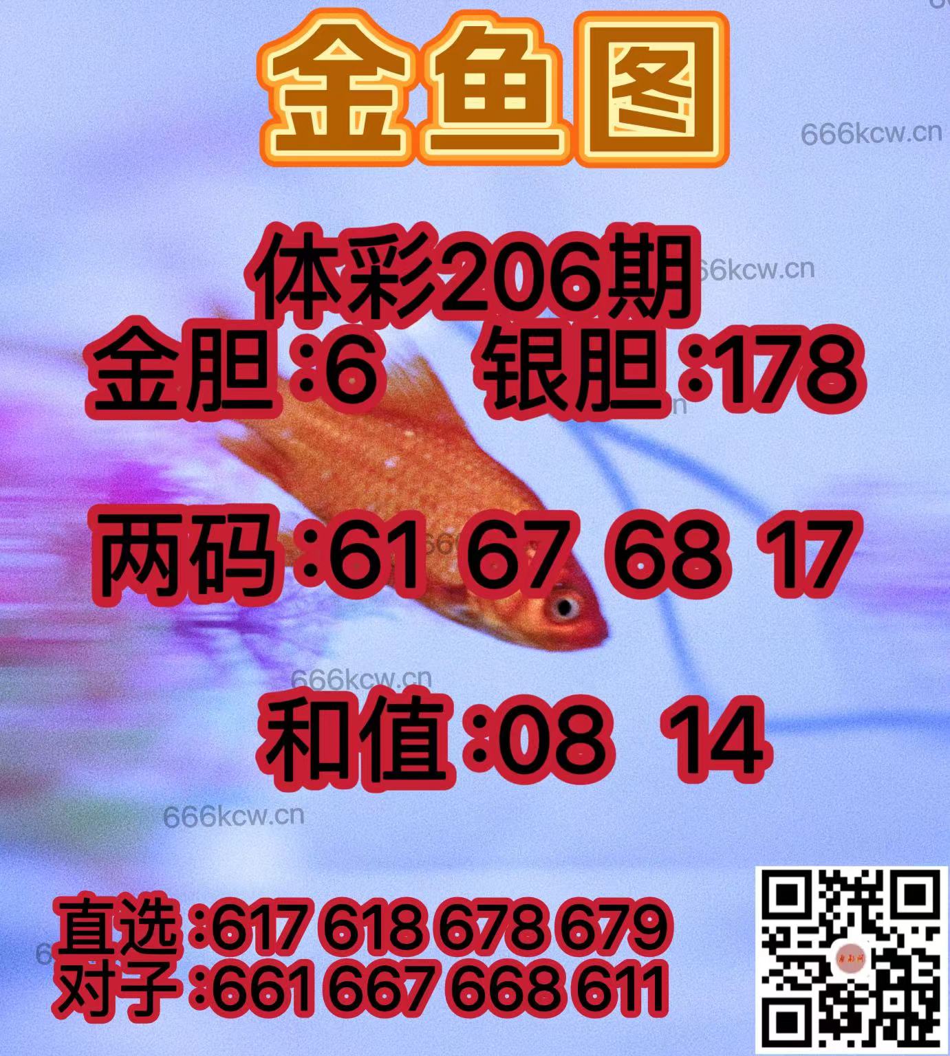 20250804 (42)