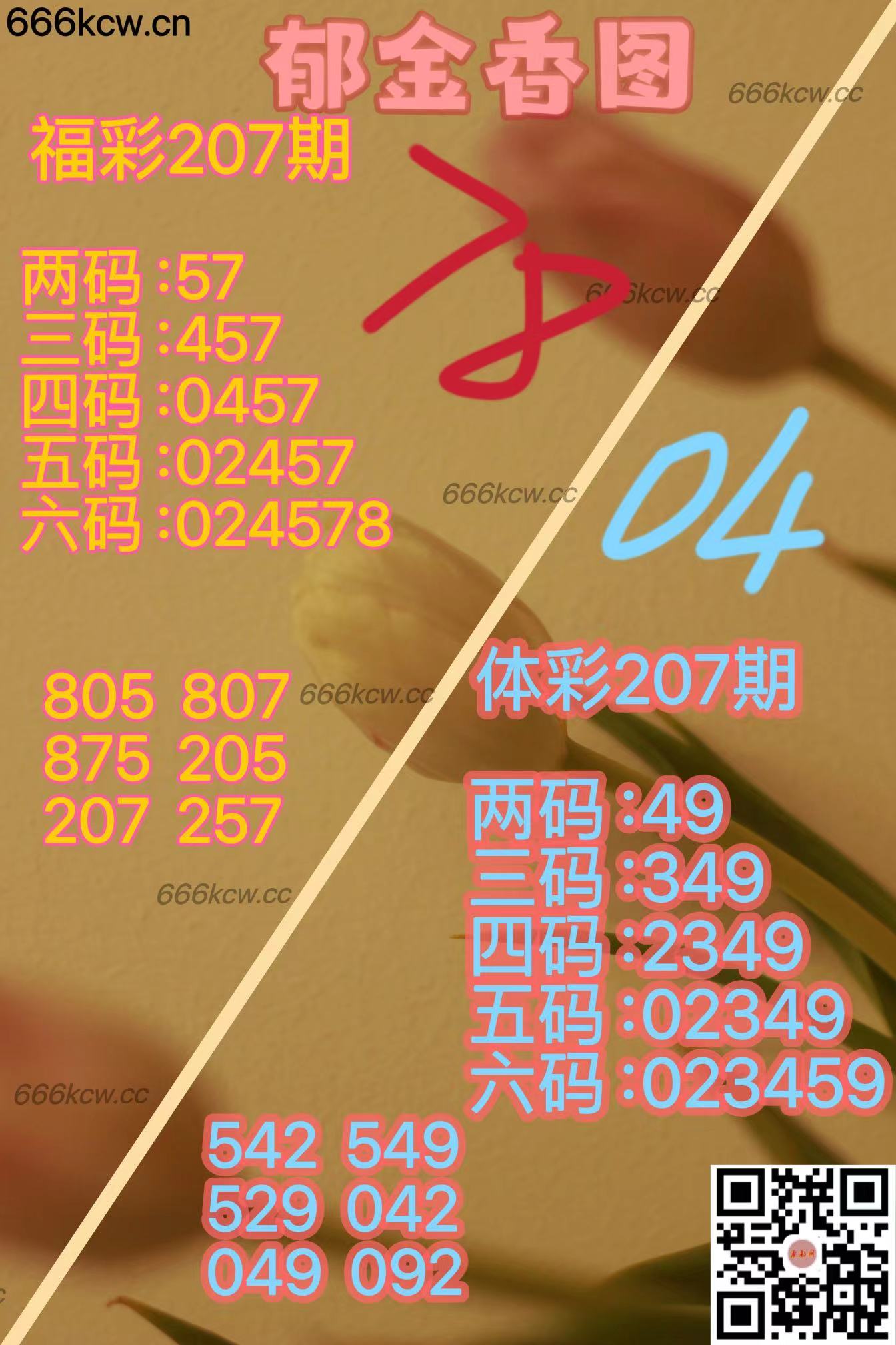 20250805 (23)