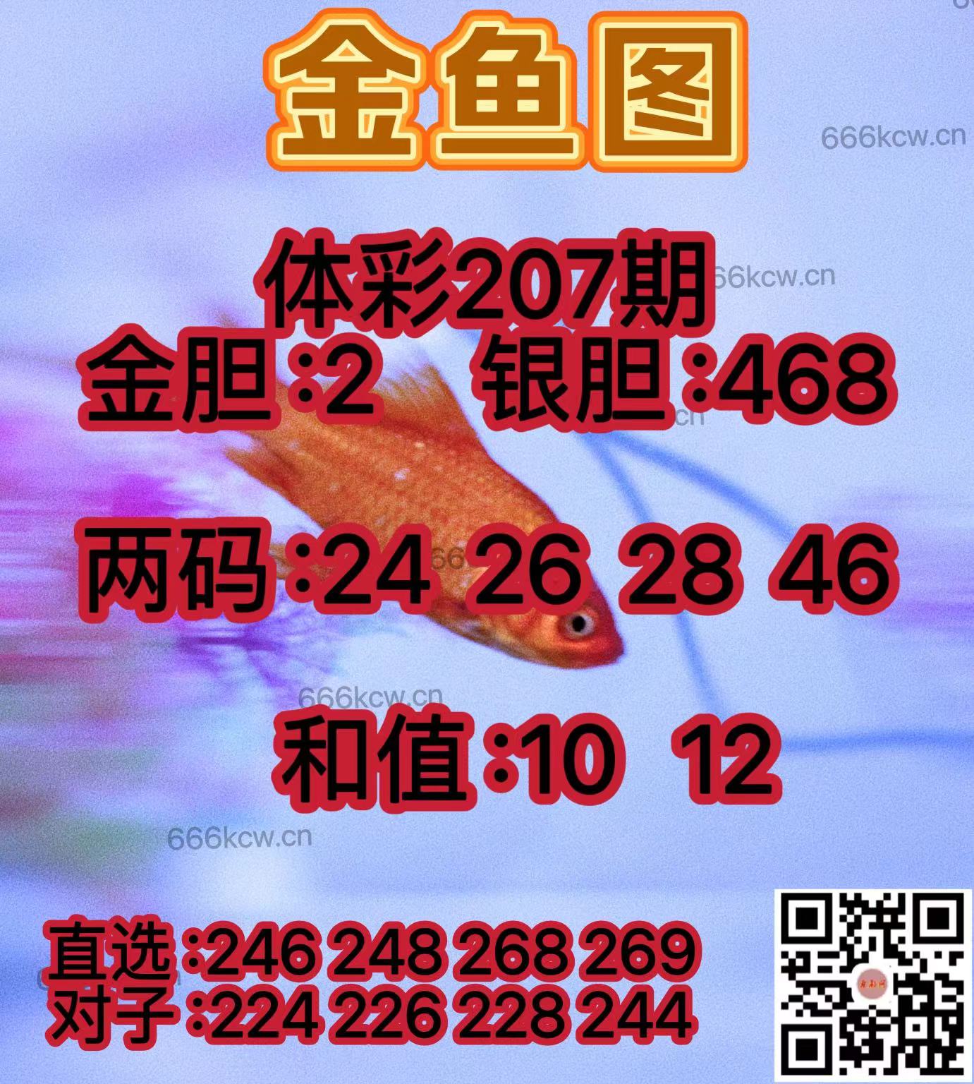 20250805 (3)