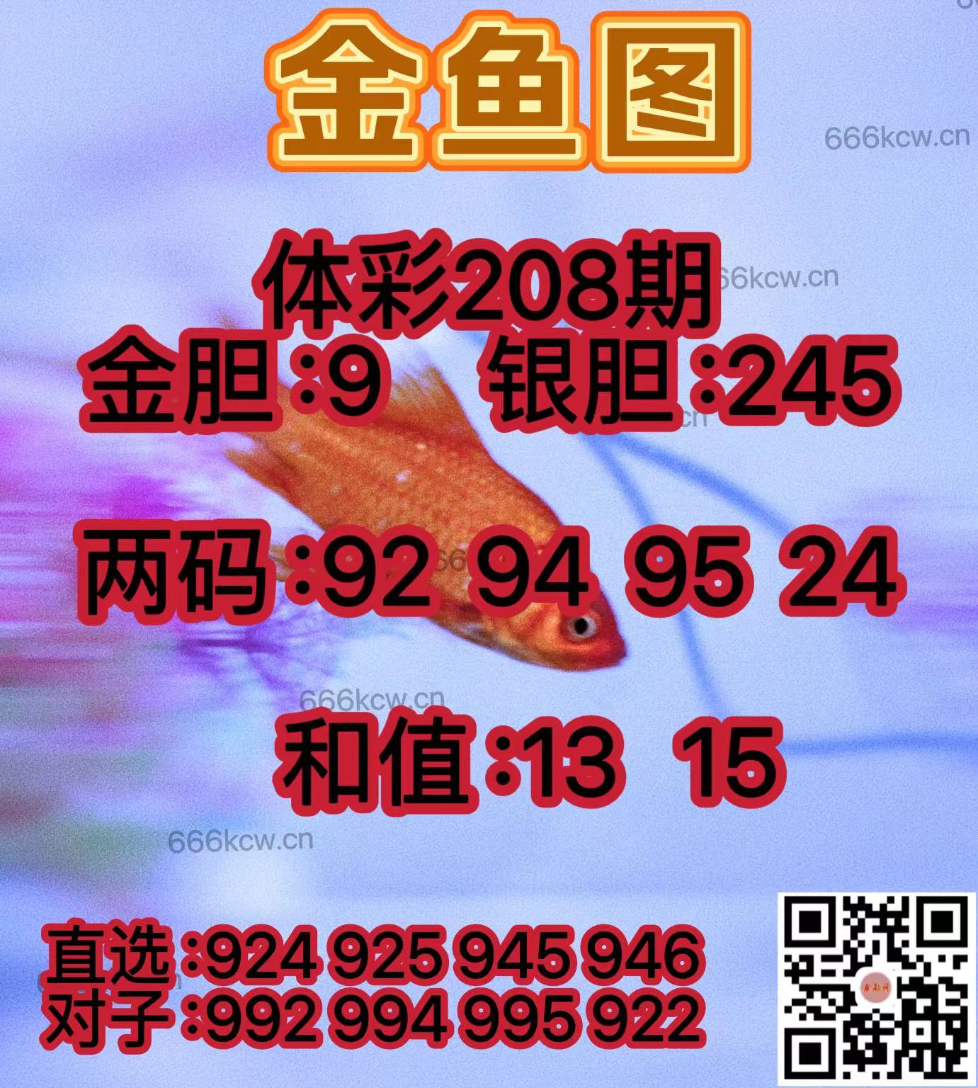 20250806 (40)