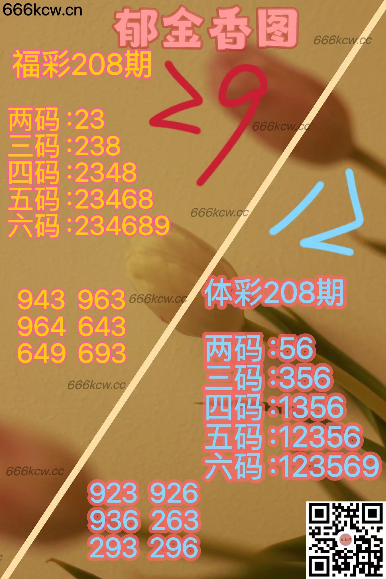 20250806 (19)