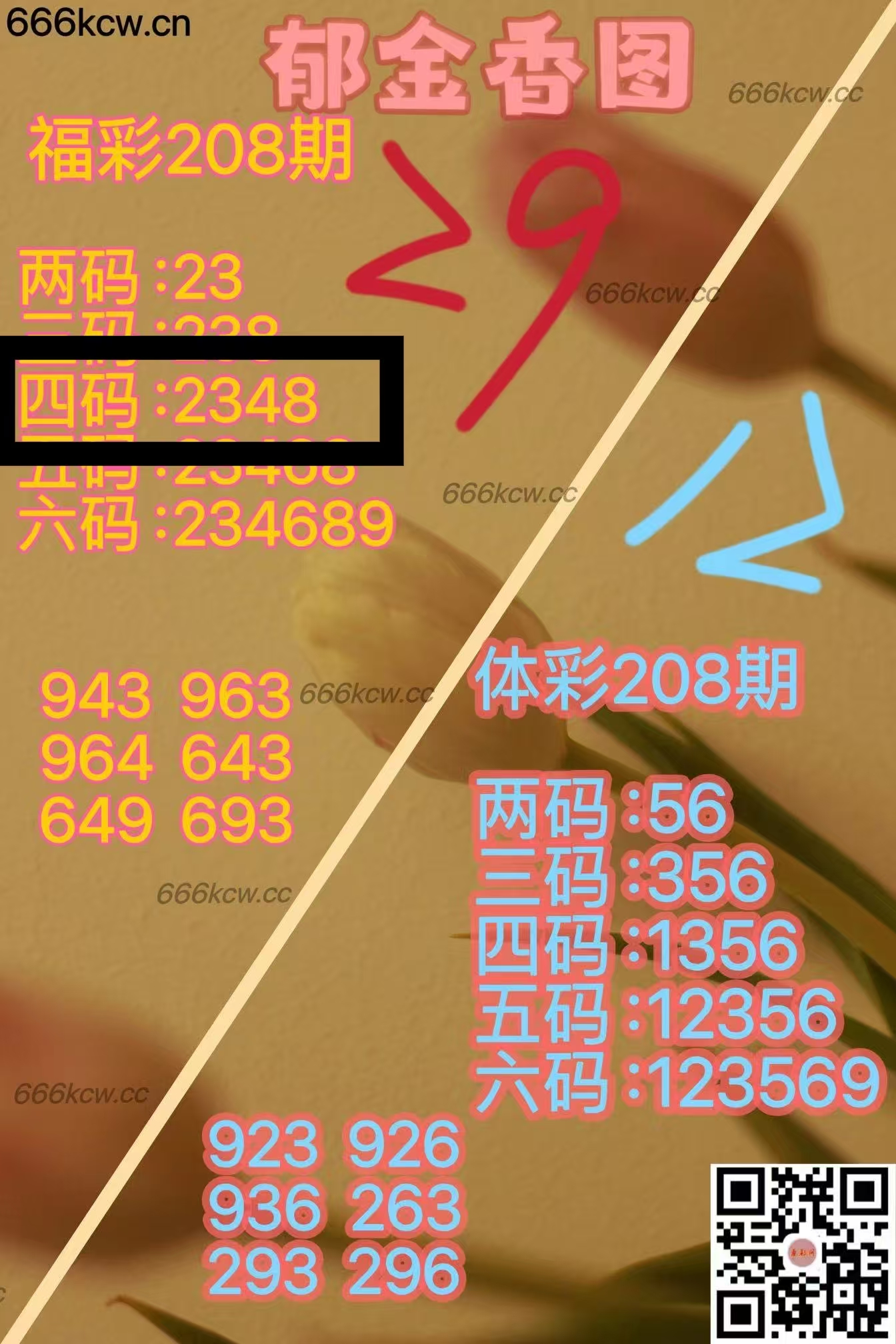 微信图片_20250807024454_402