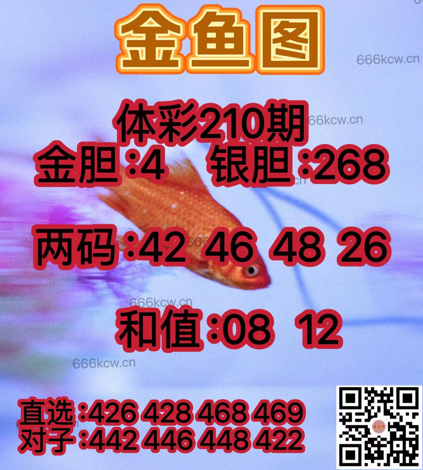 20250808 (40)