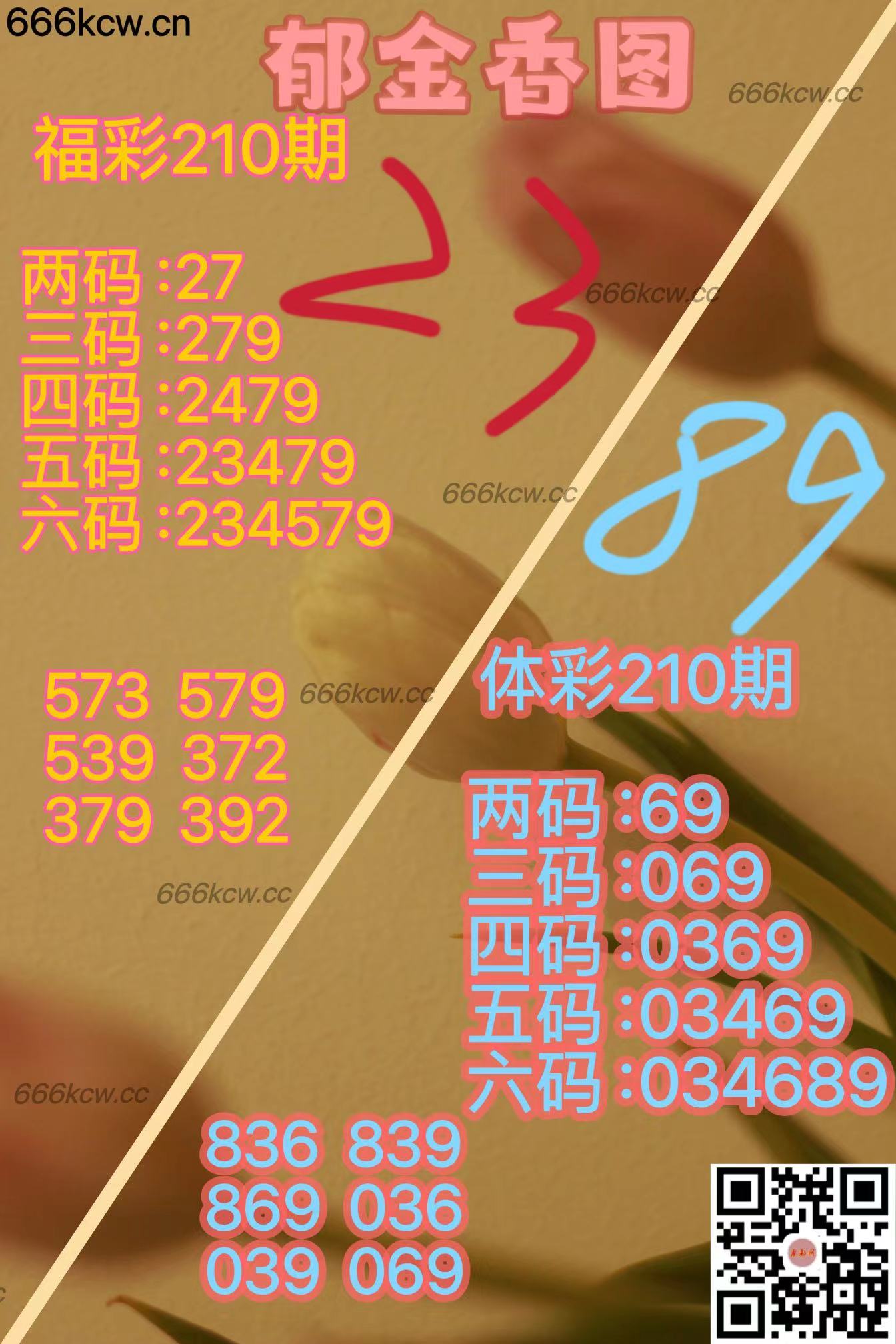20250808 (19)