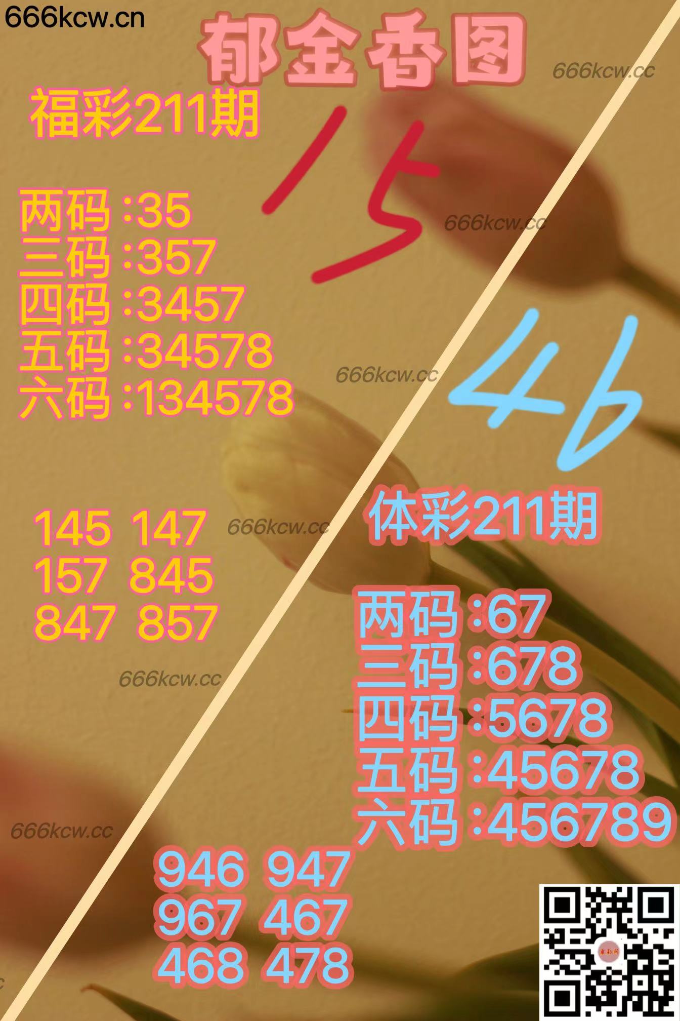 20250809 (24)