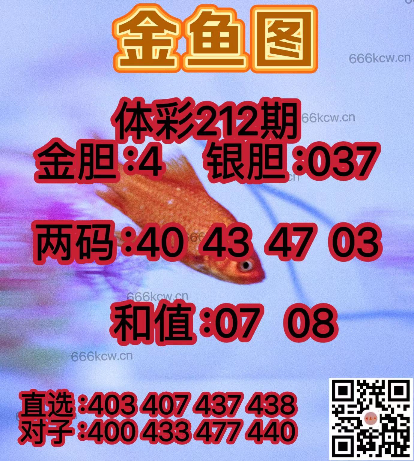 20250810 (40)
