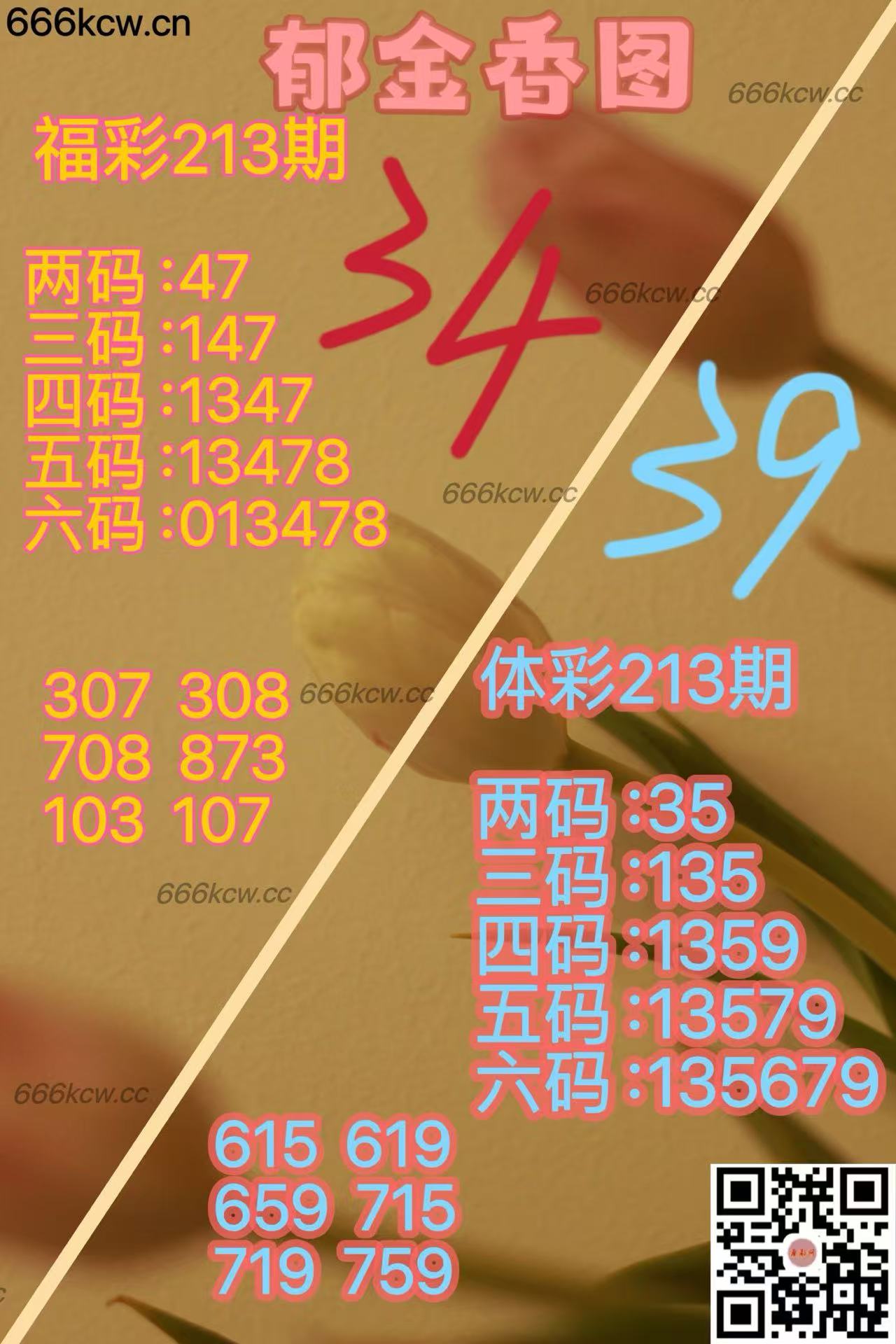 20250811 (37)