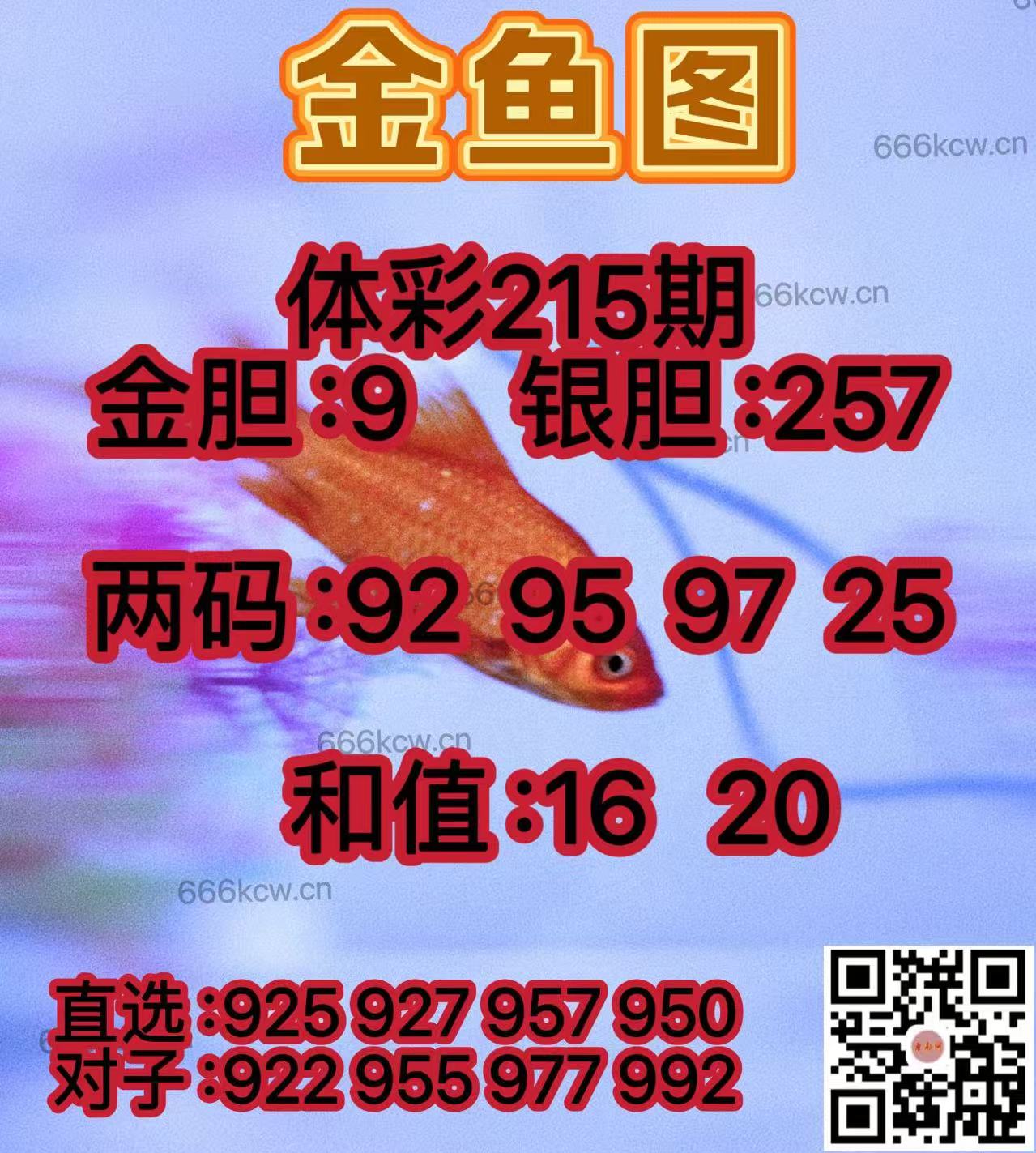 20250813 (40)