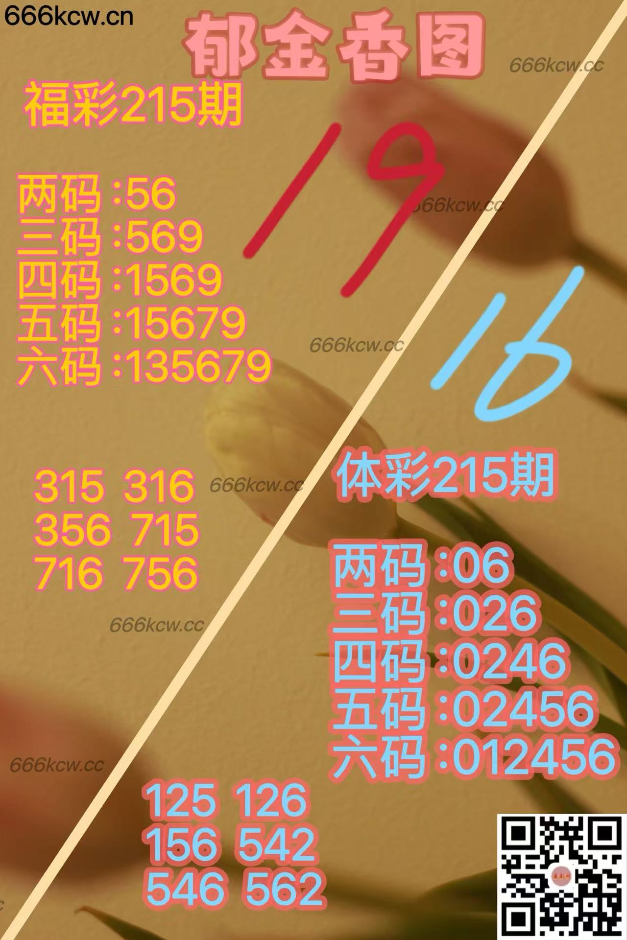 20250813 (35)