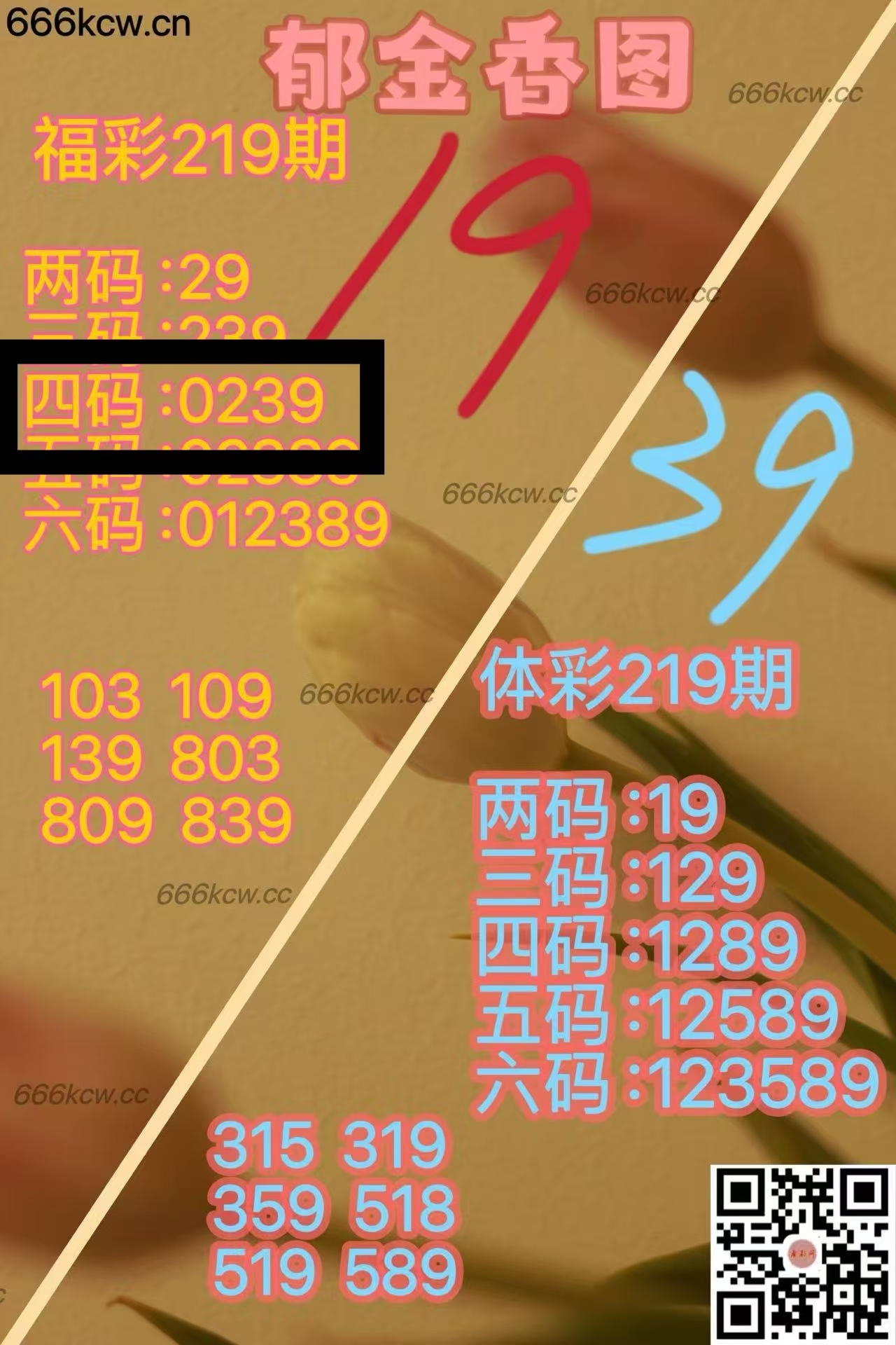 微信图片_20250818042754_619