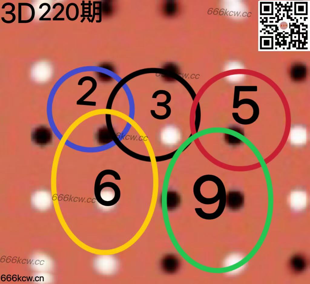 20250818 (4)