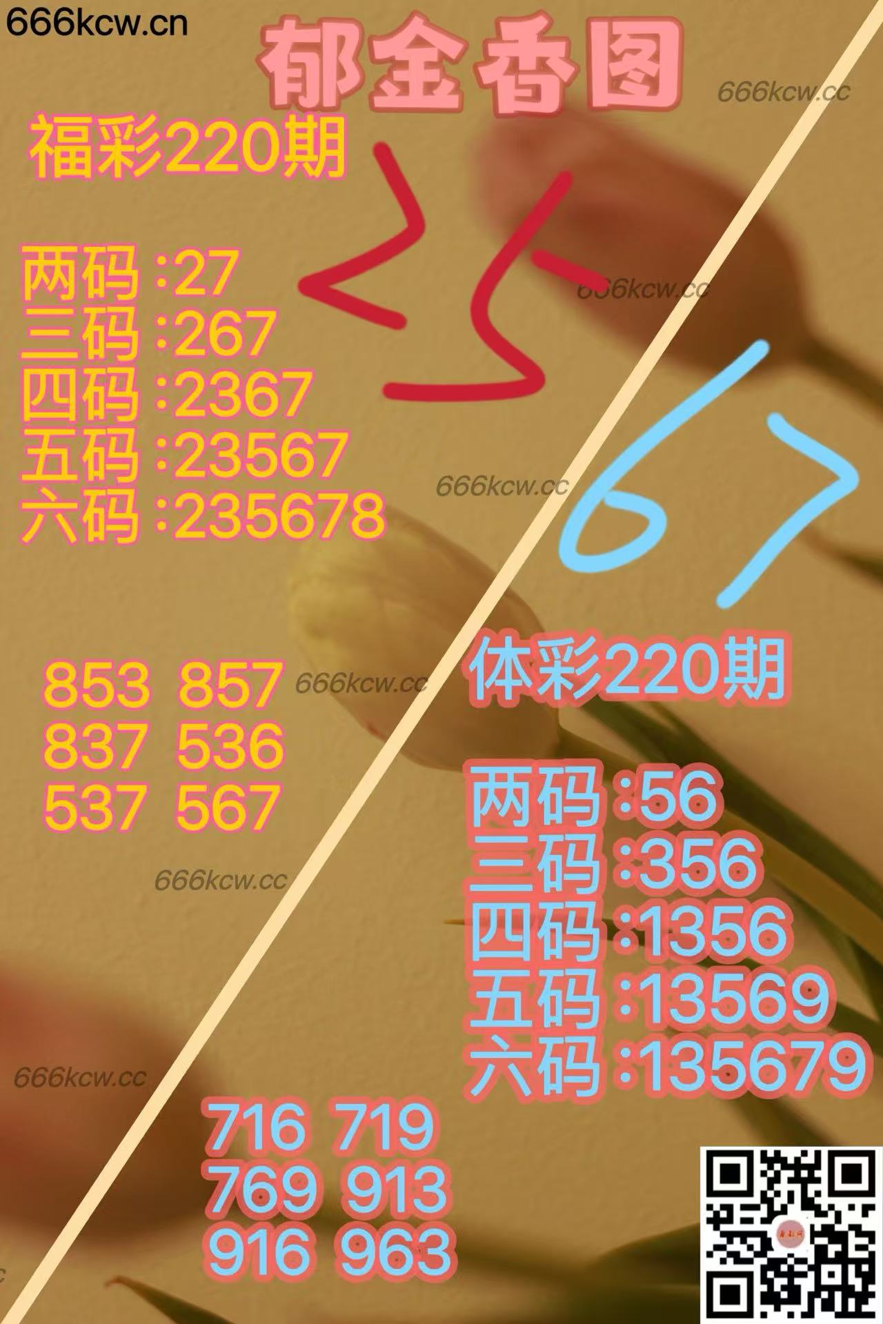 20250818 (19)