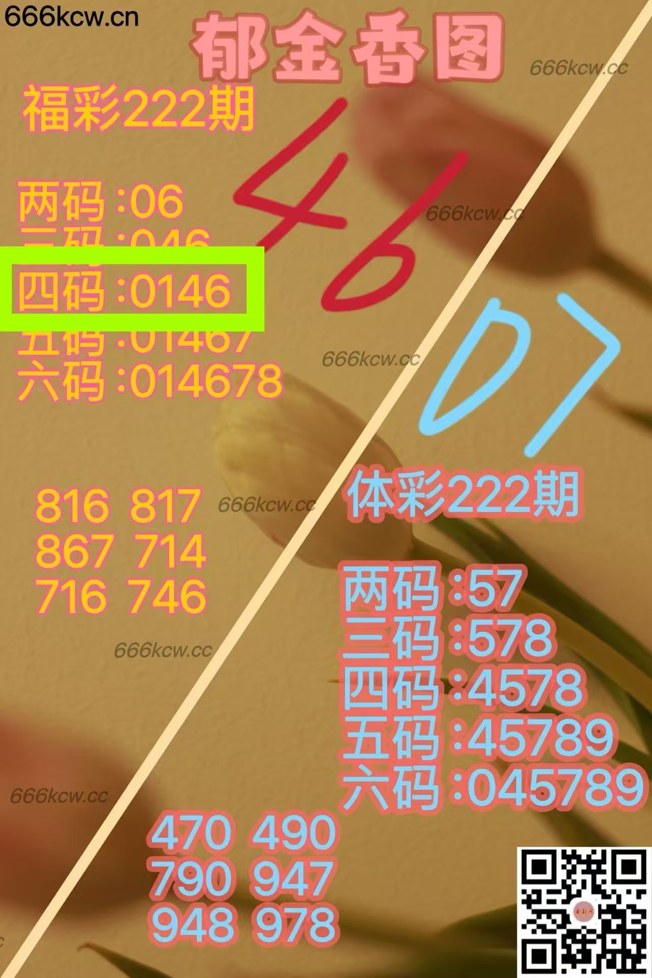 微信图片_20250821012043_671