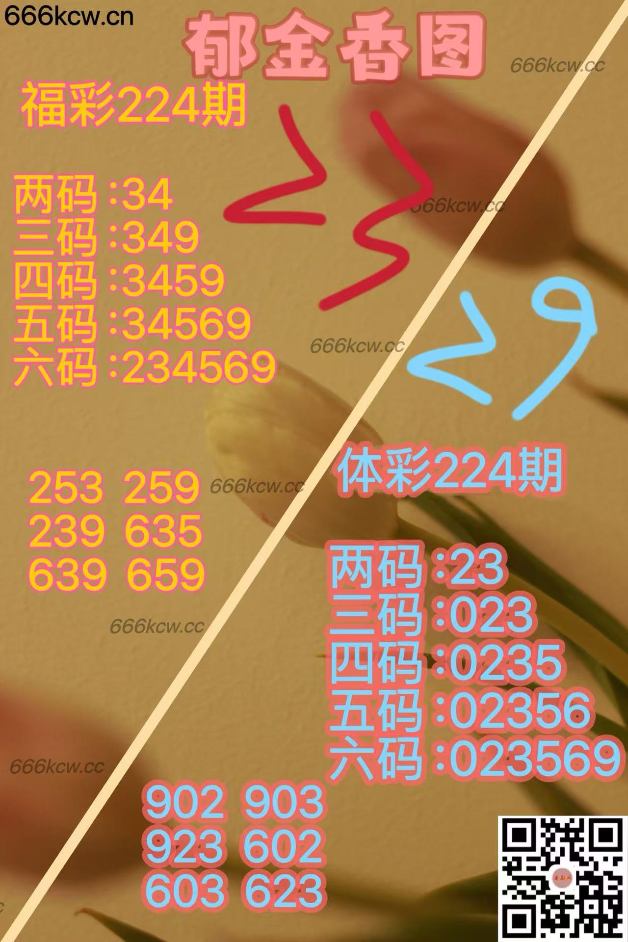 20250822 (19)