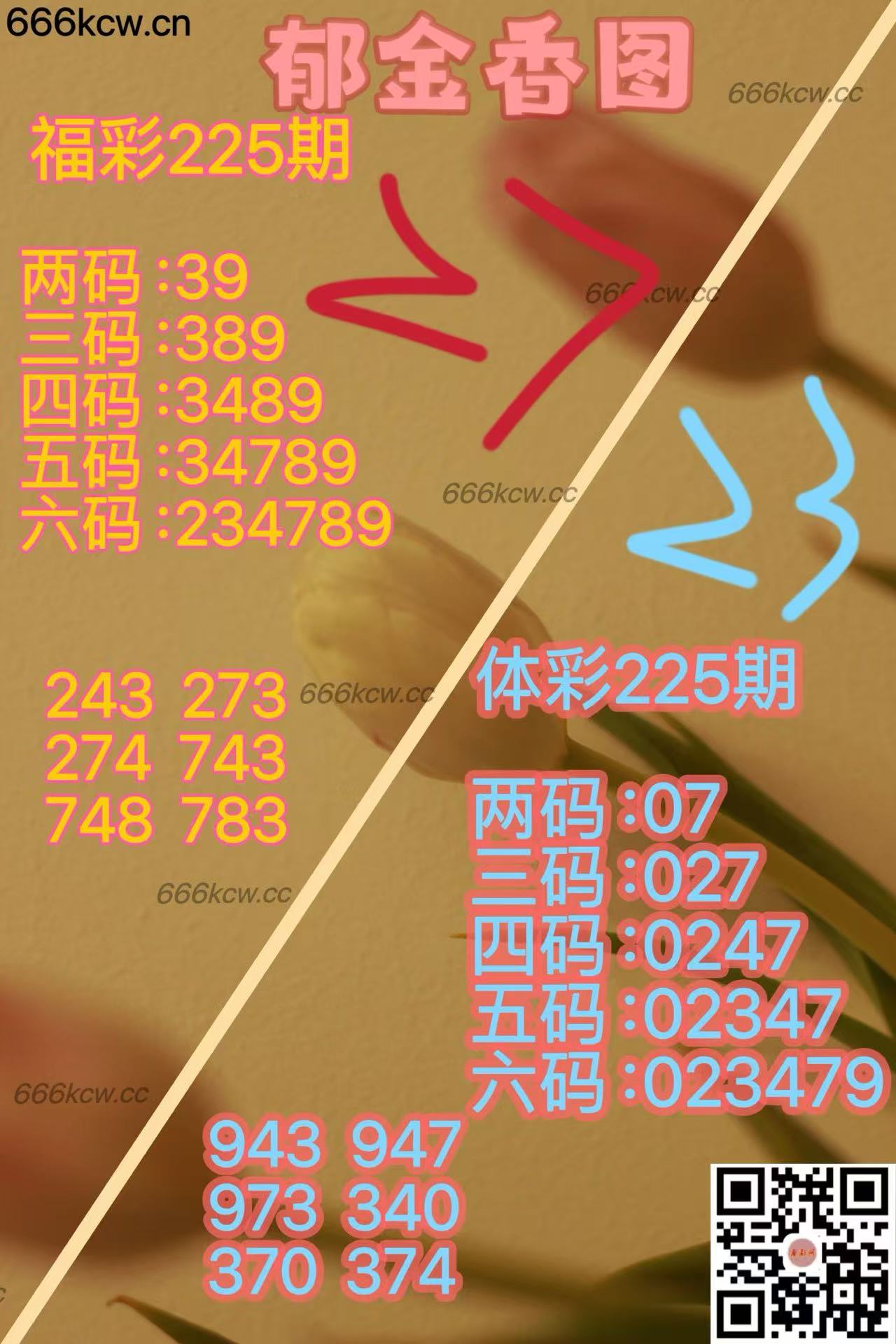 20250823 (41)