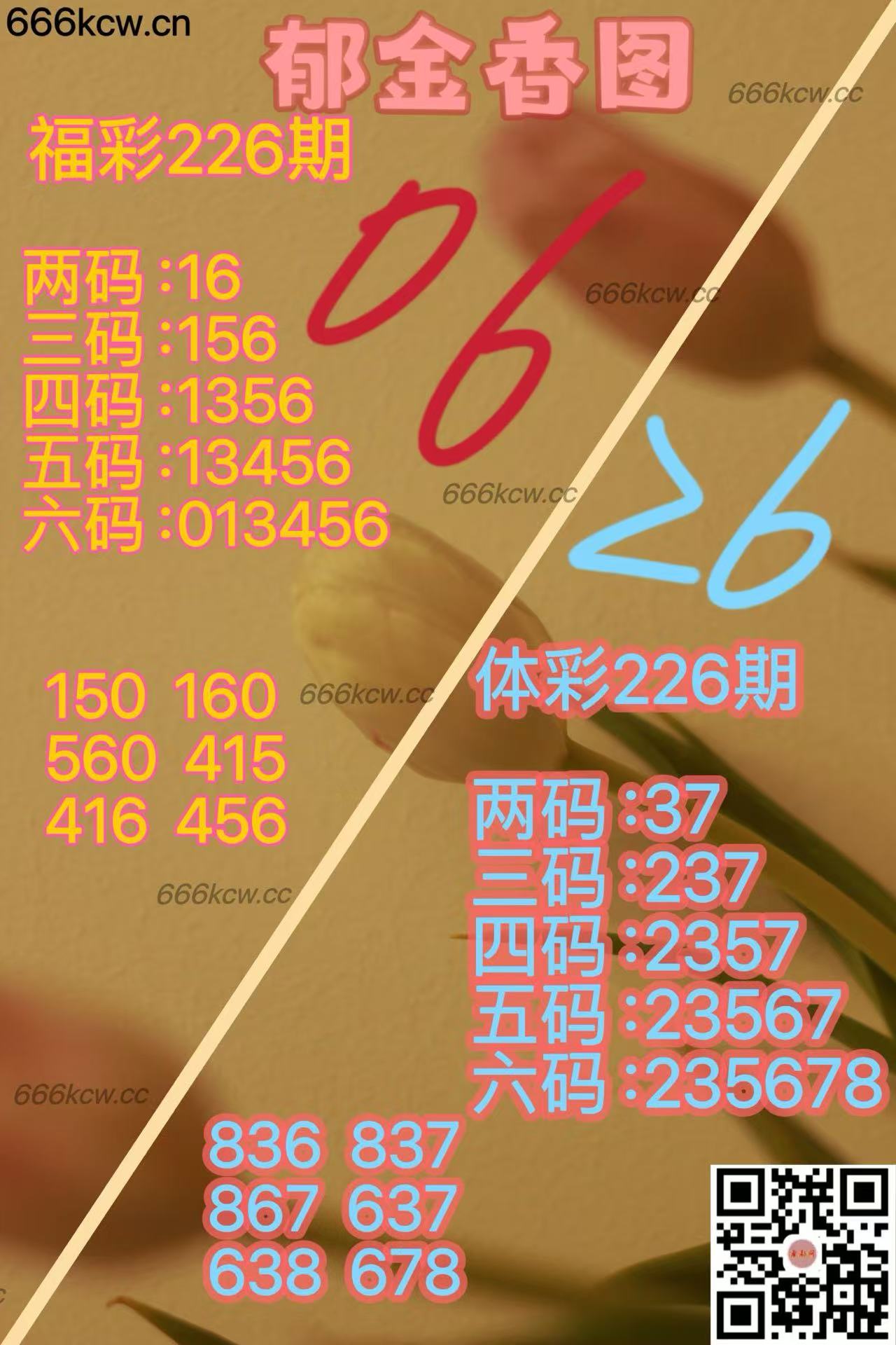 20250824 (23)