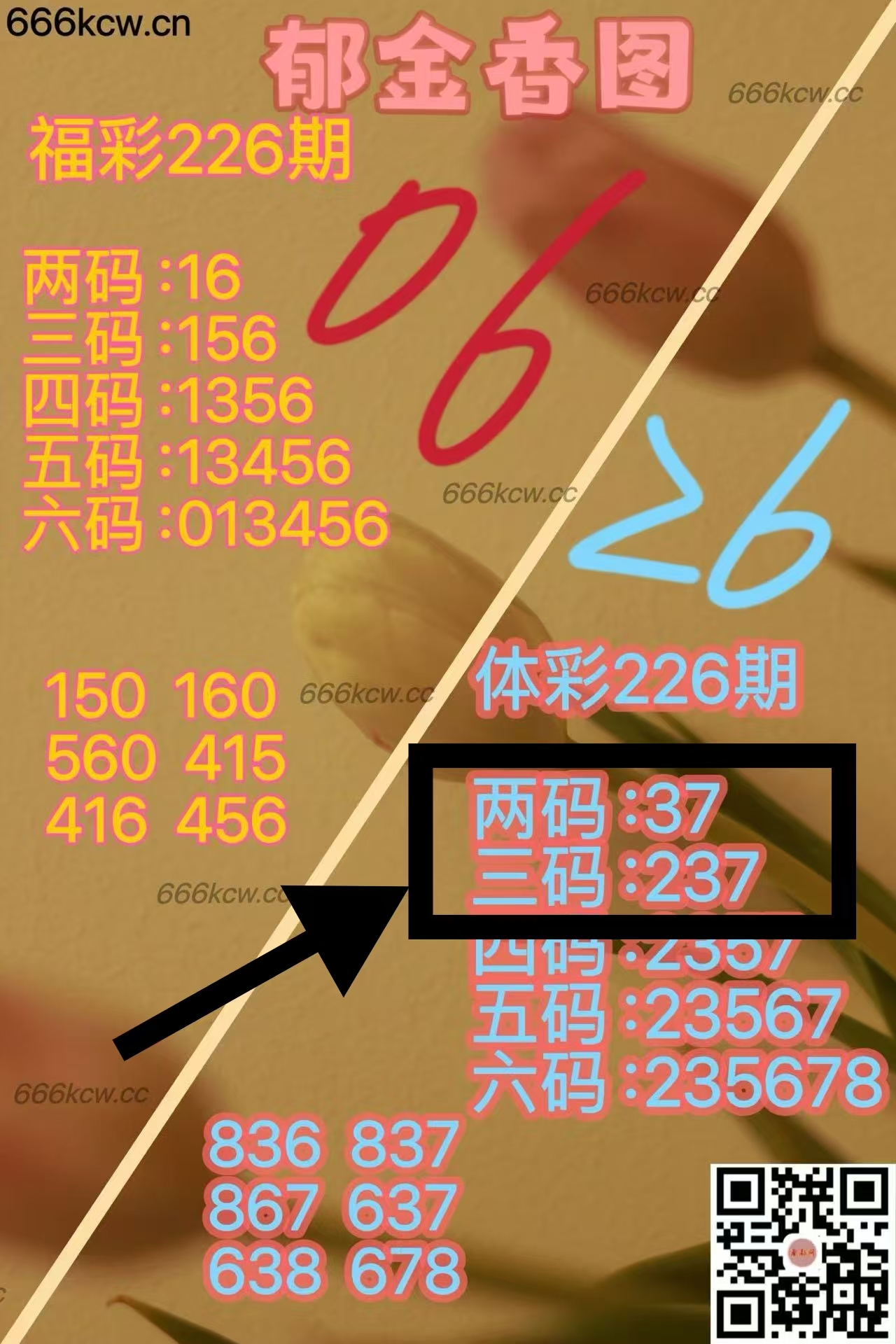 微信图片_20250825025400_738