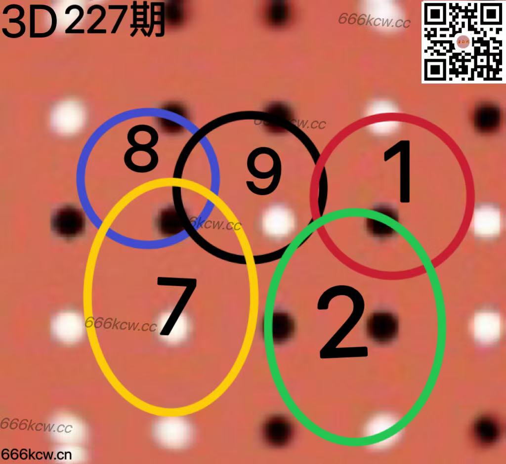 20250825 (8)