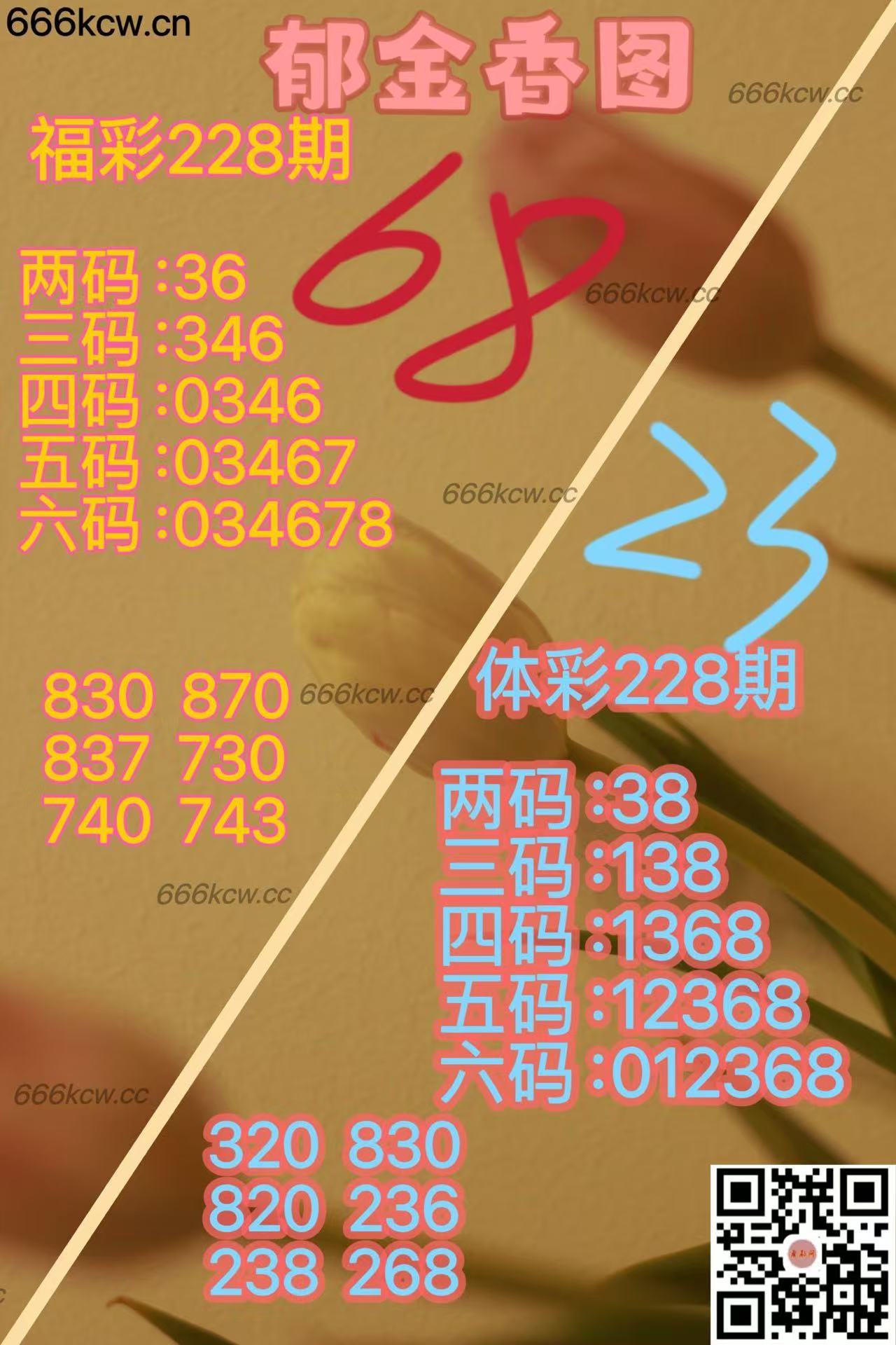 20250826 (19)