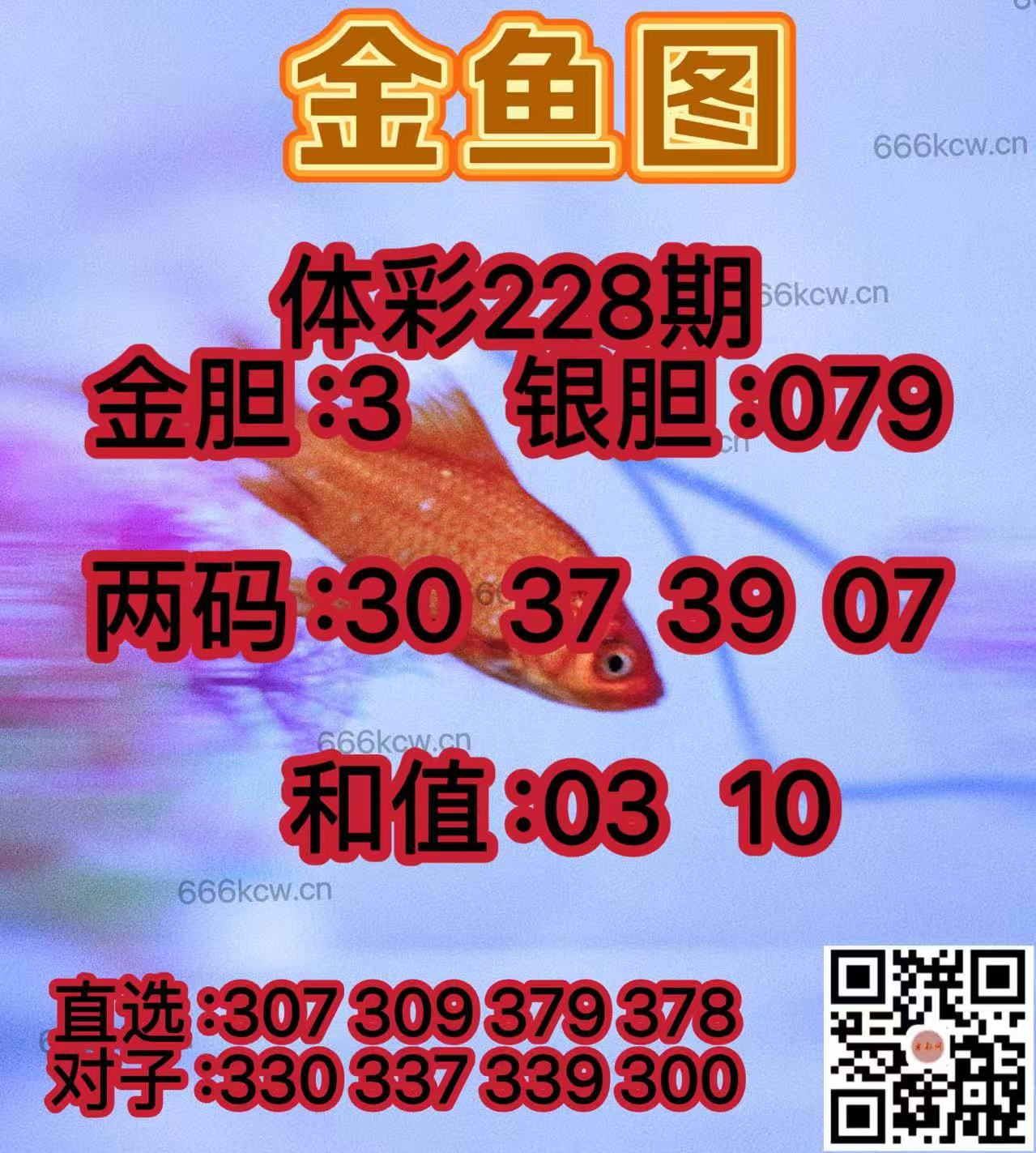 20250826 (40)