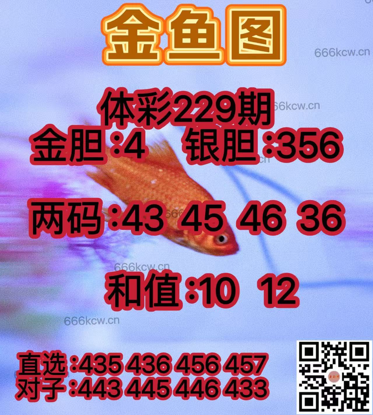 20250827 (5)