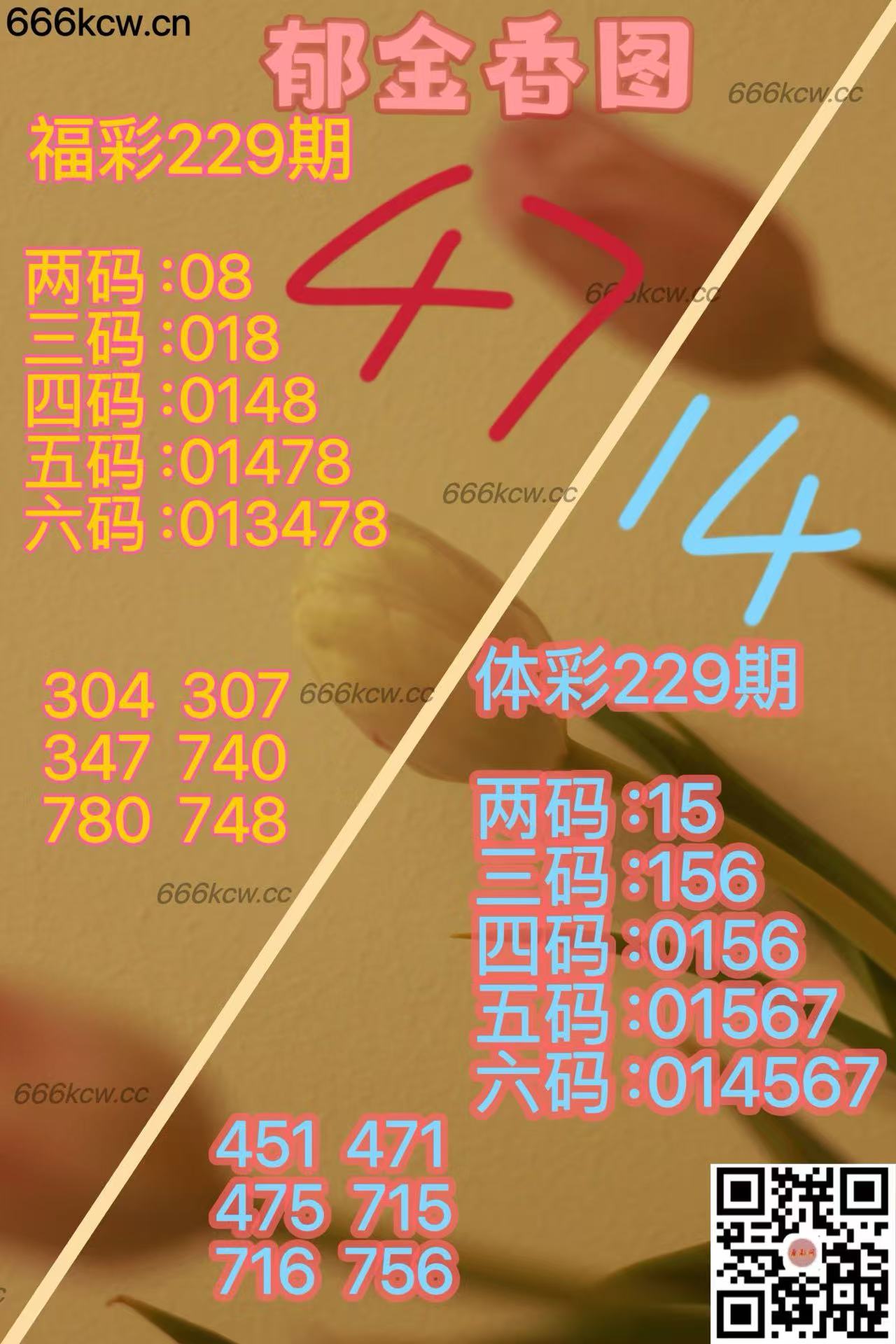 20250827 (25)