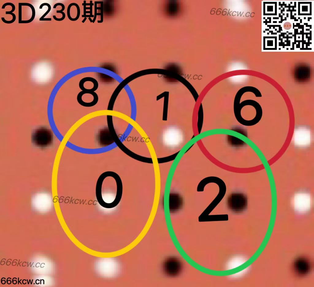 20250828 (4)