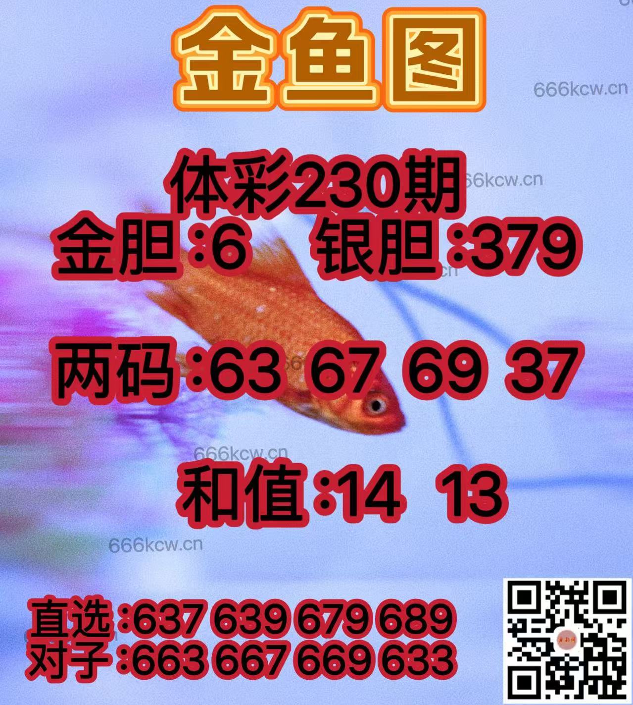 20250828 (24)