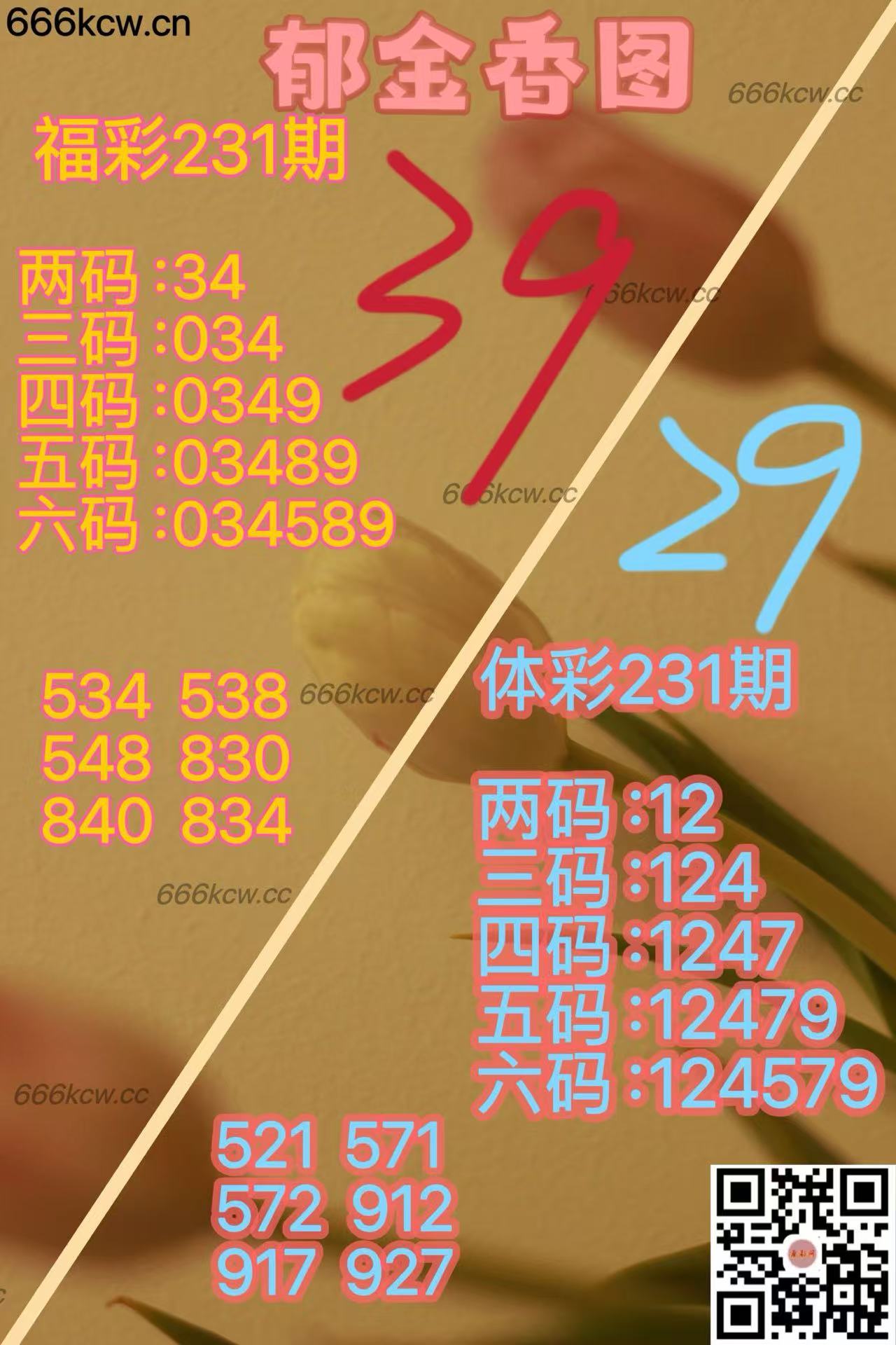 20250829 (20)