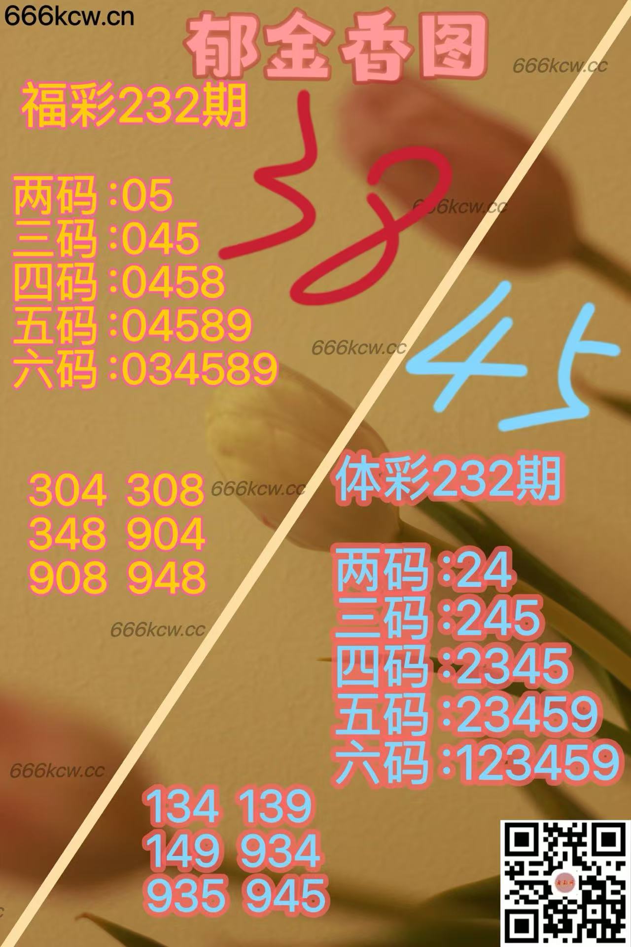 20250830 (23)