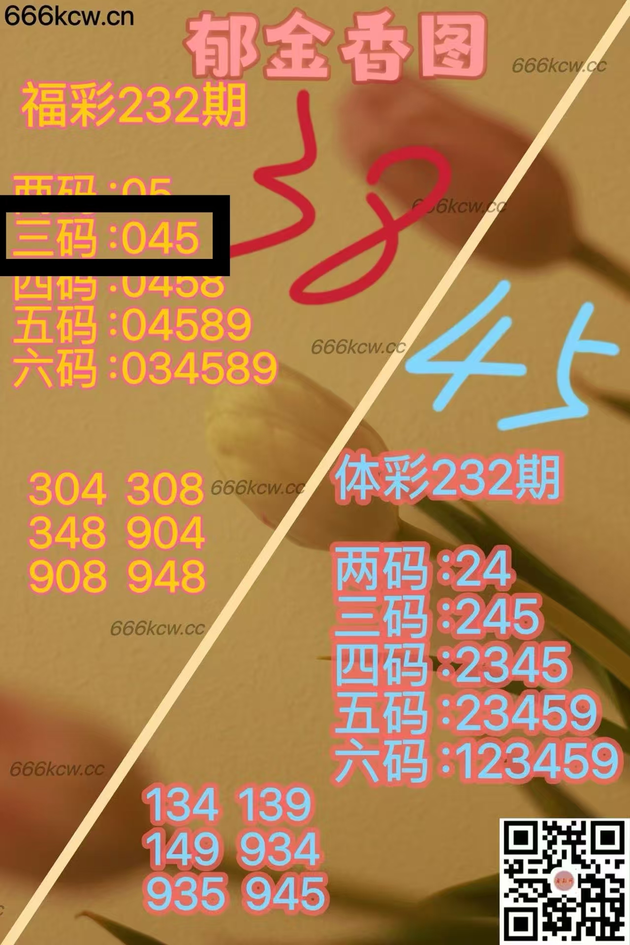 微信图片_20250831055348_878