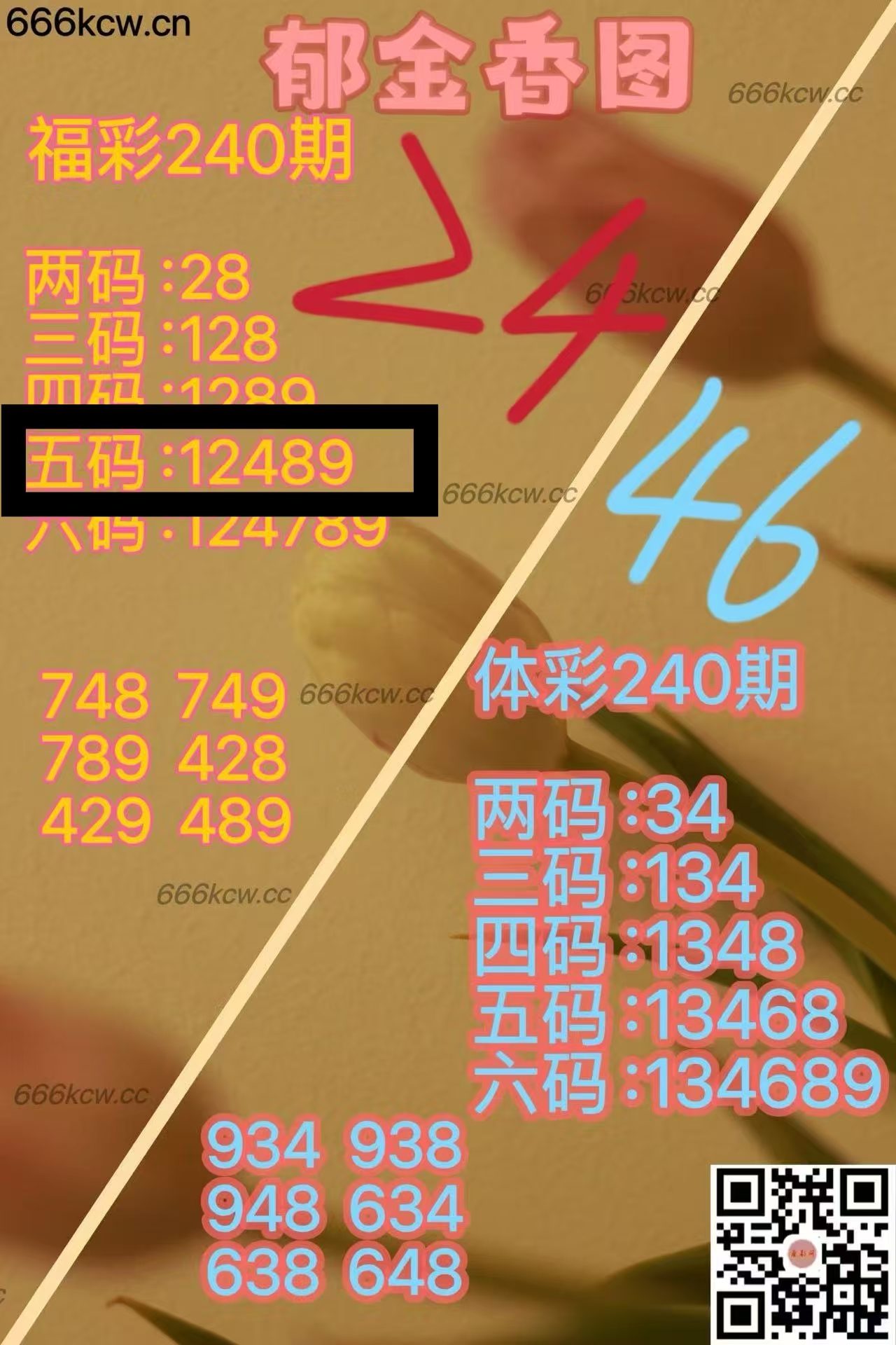 微信图片_20250908040528_1027_1