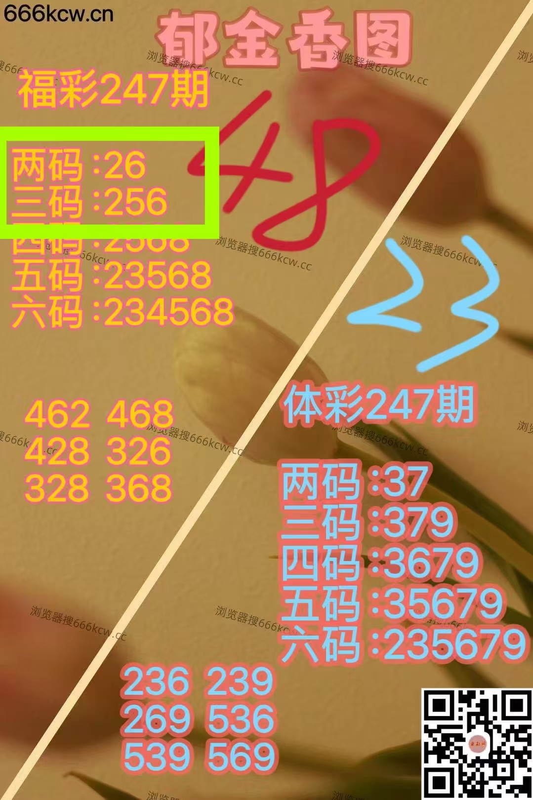 微信图片_20250914221852_1219_1