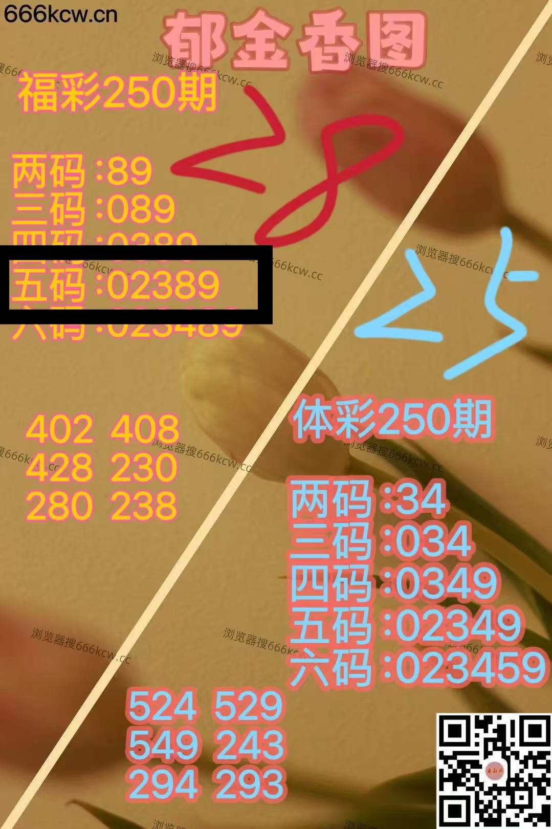 微信图片_20250918003239_1298_1