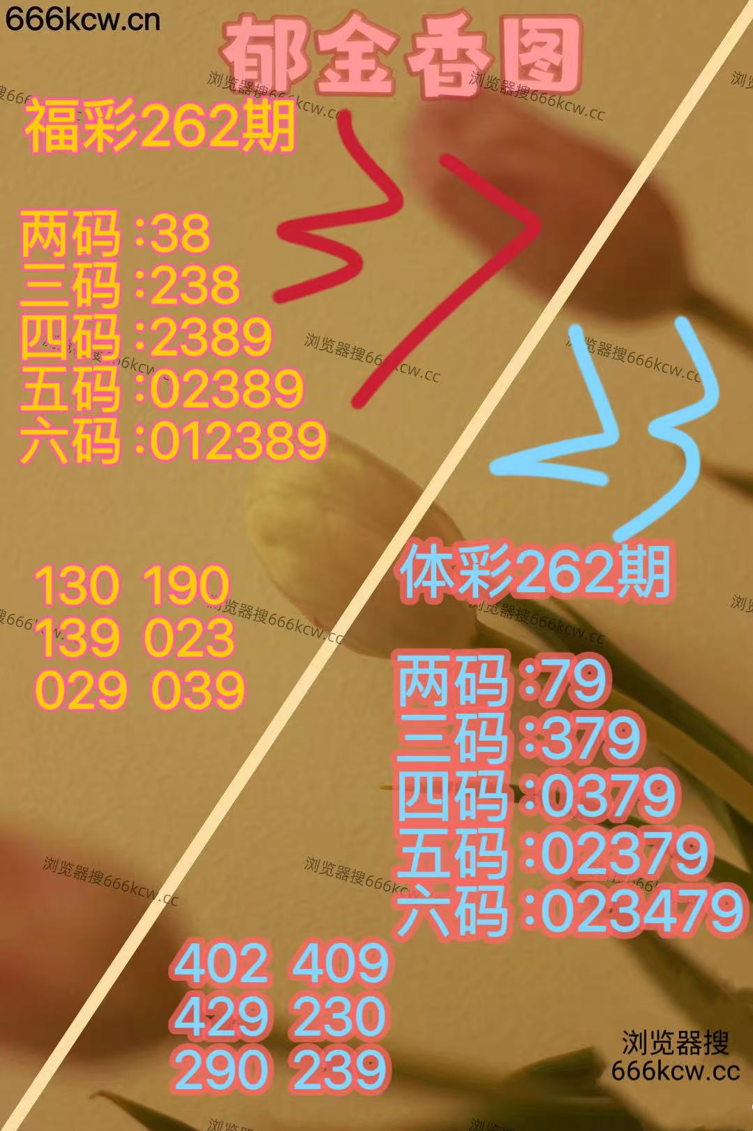 微信图片_20250929004958_2505_2