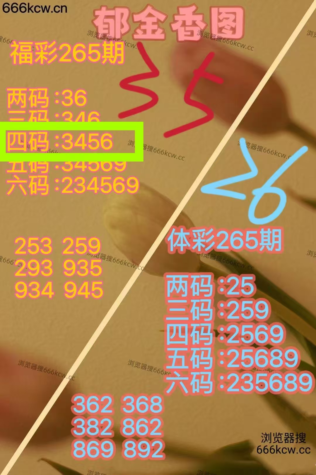 微信图片_20251007000321_1642_1