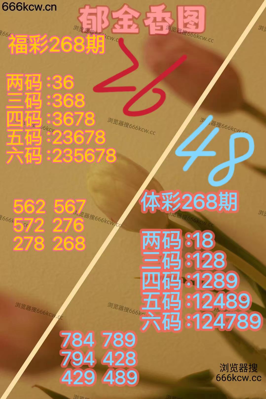 微信图片_20251009171157_2730_2