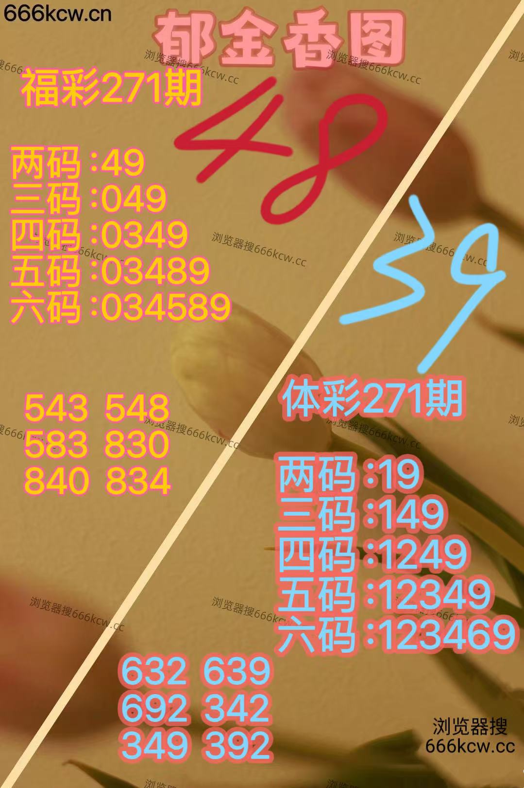 微信图片_20251012171011_2824_2