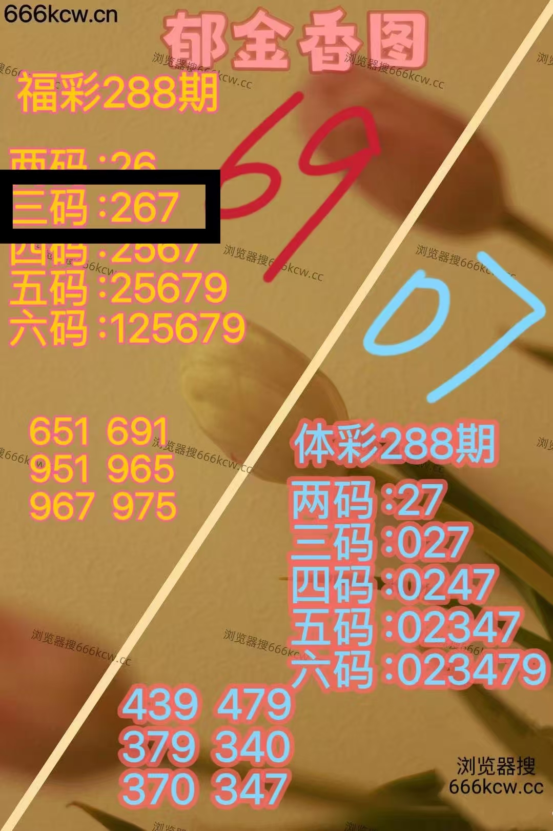 微信图片_20251030003958_2203_1