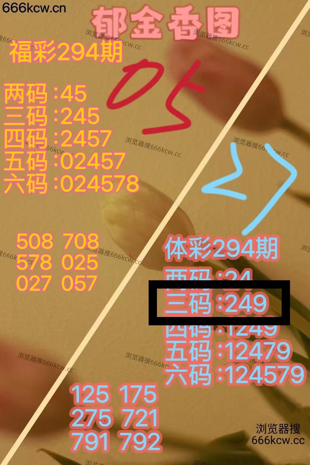 微信图片_20251105004445_269_9