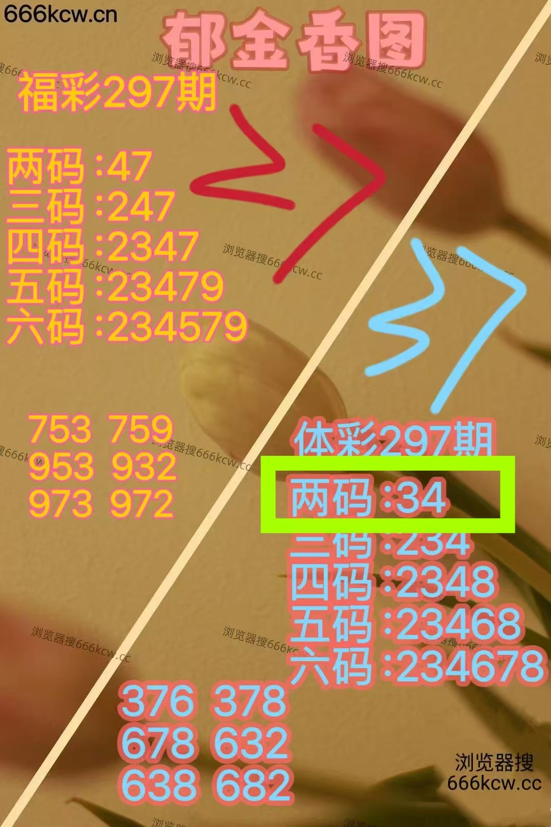 微信图片_20251107232739_324_9