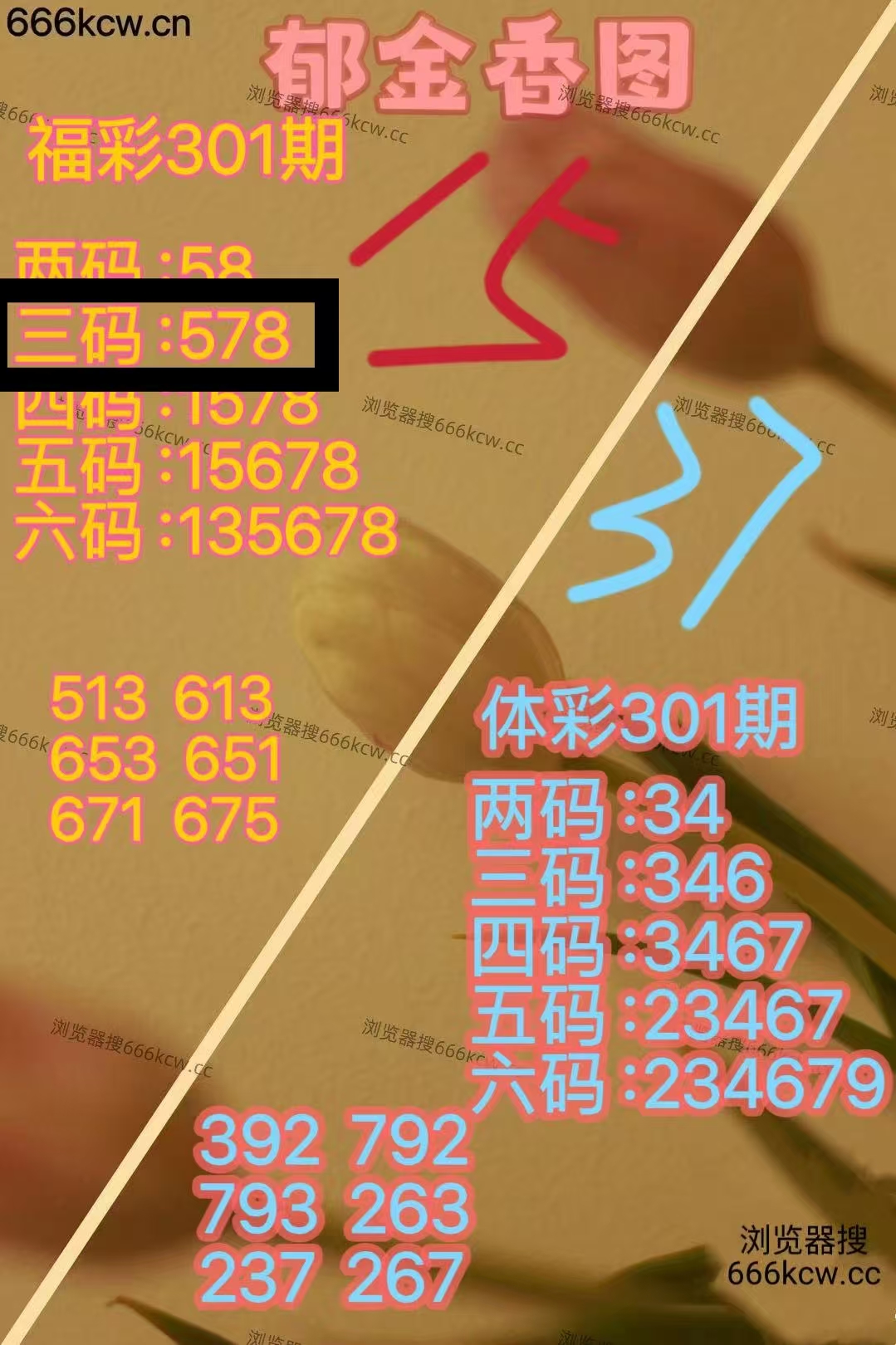 微信图片_20251112031439_392_9