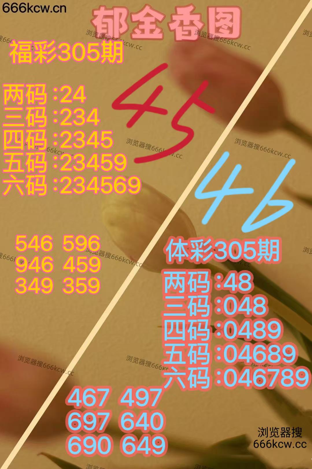 微信图片_20251115052014_3661_2