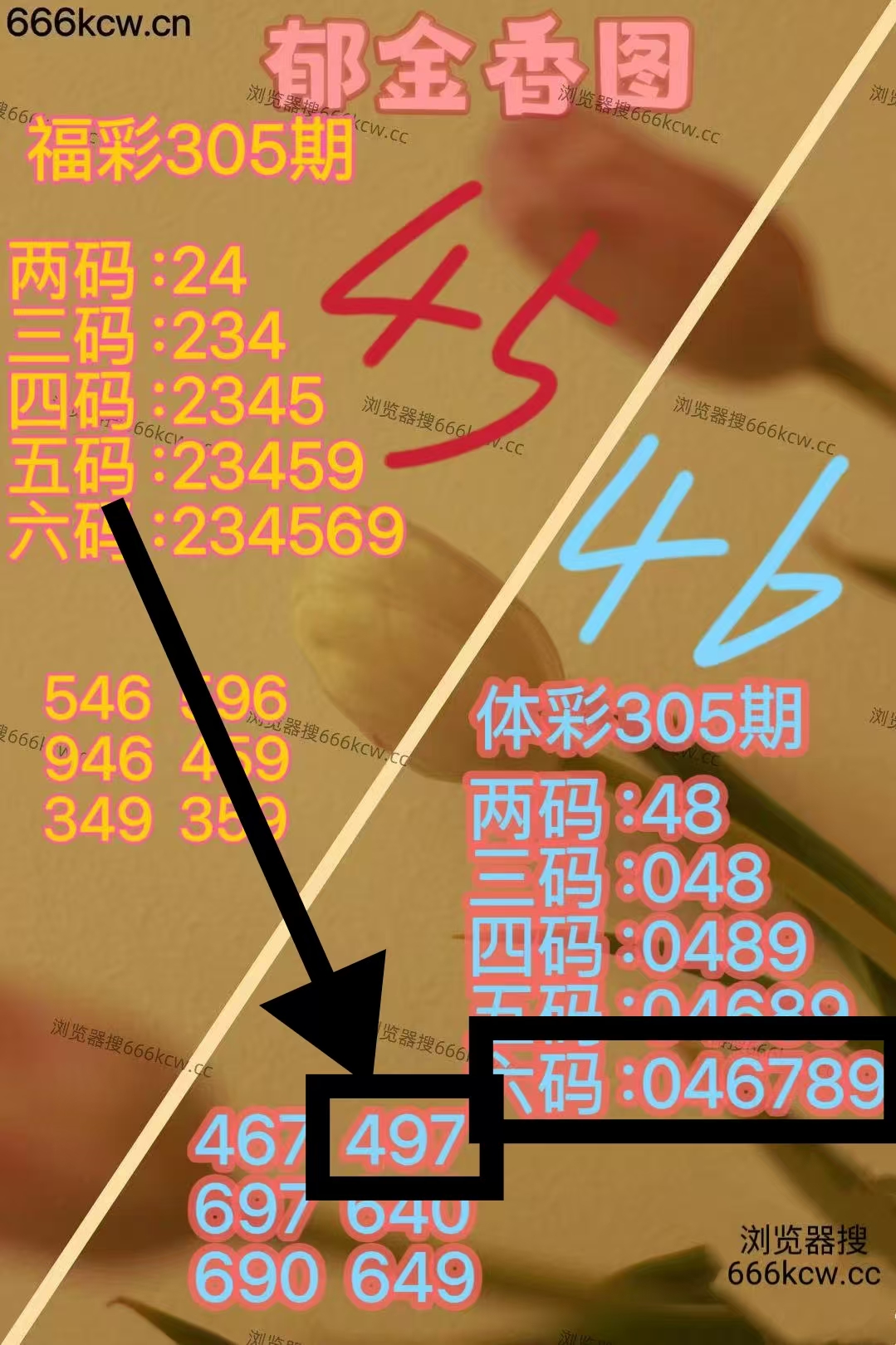 微信图片_20251115225953_2302_1