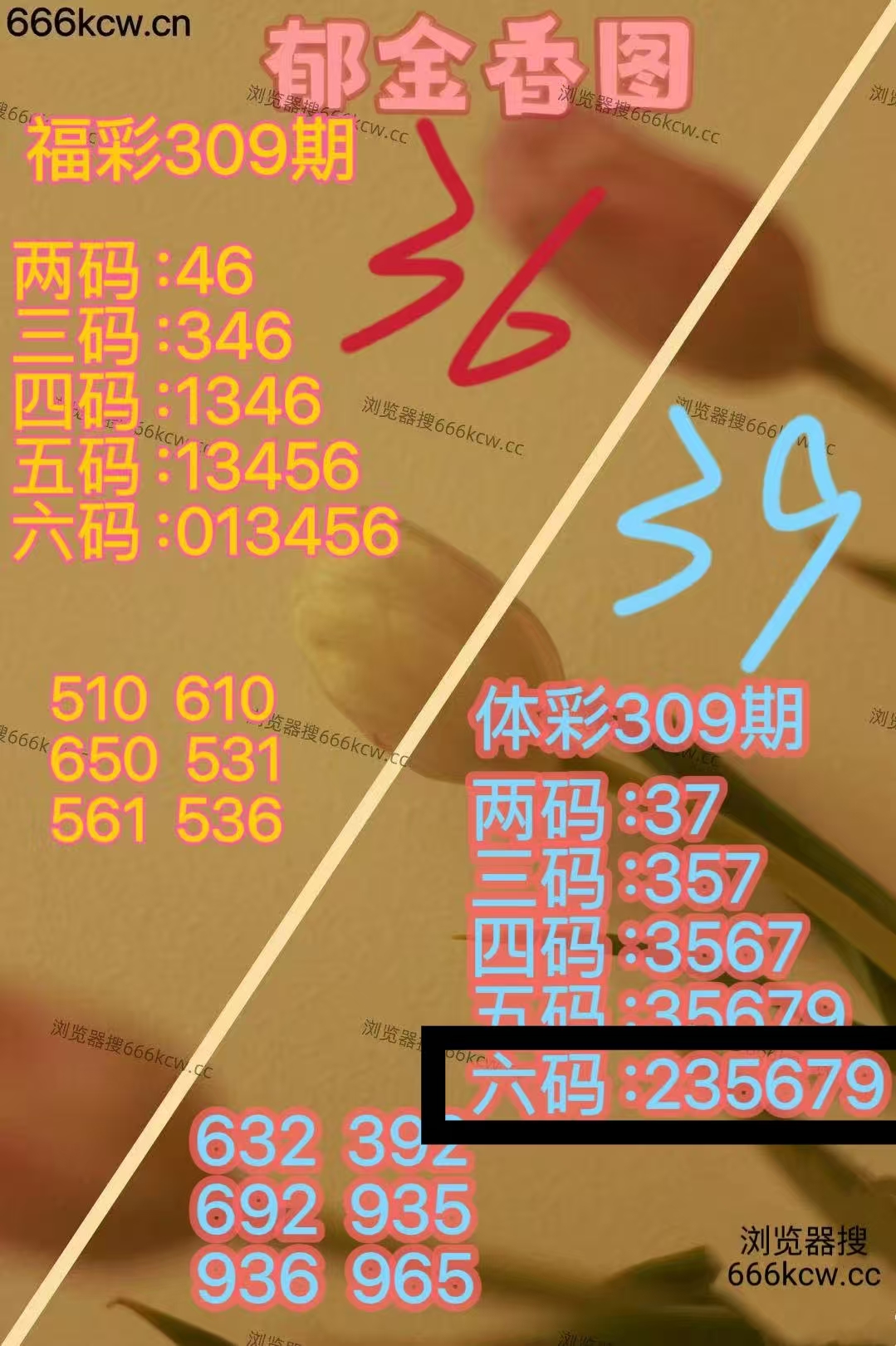 微信图片_20251120013246_2418_1