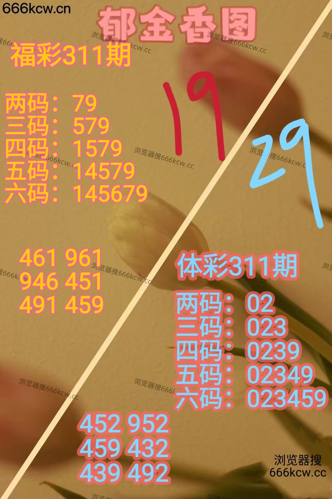 微信图片_20251121024239_3943_2