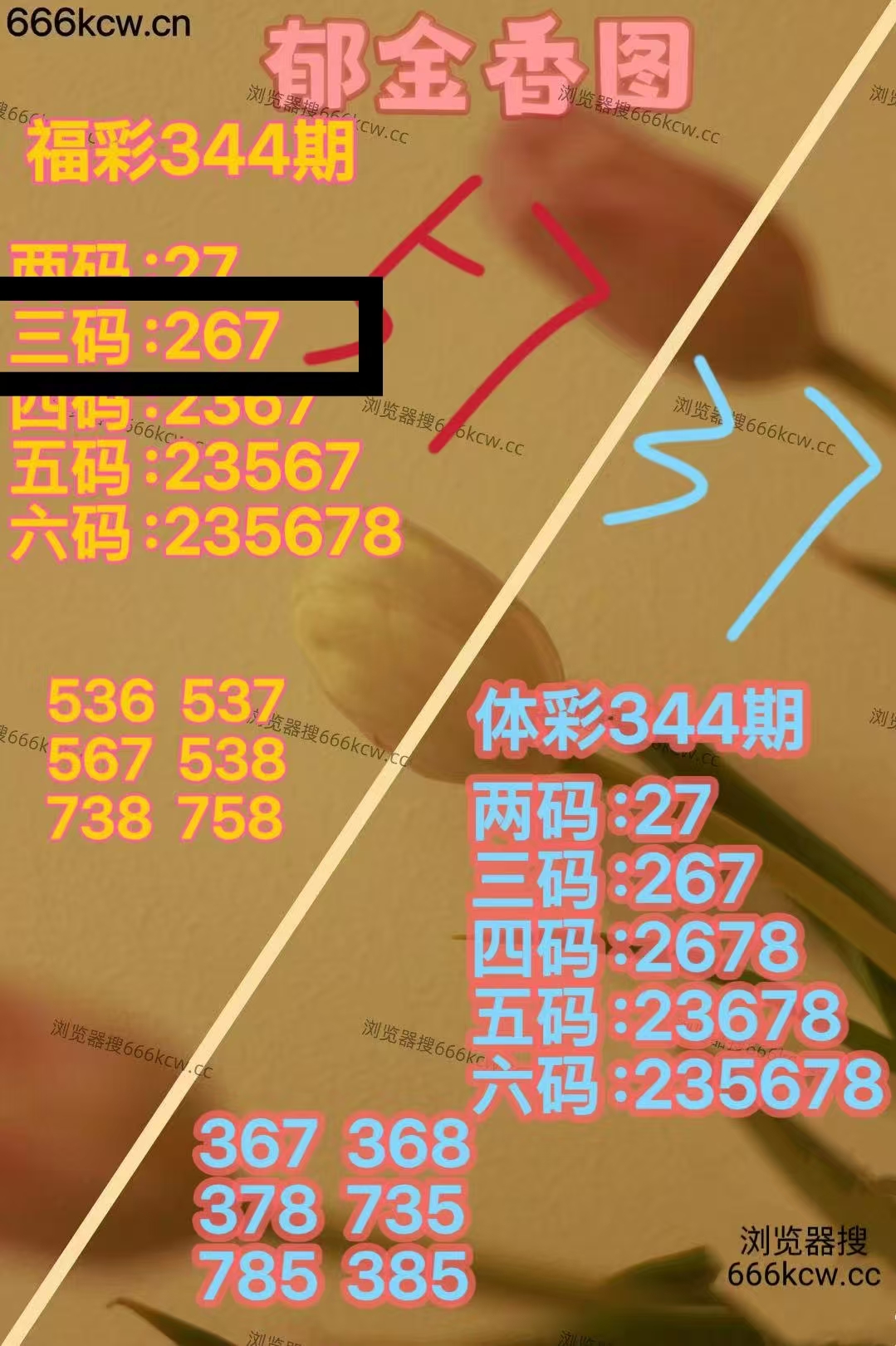 微信图片_20251225024036_3158_1