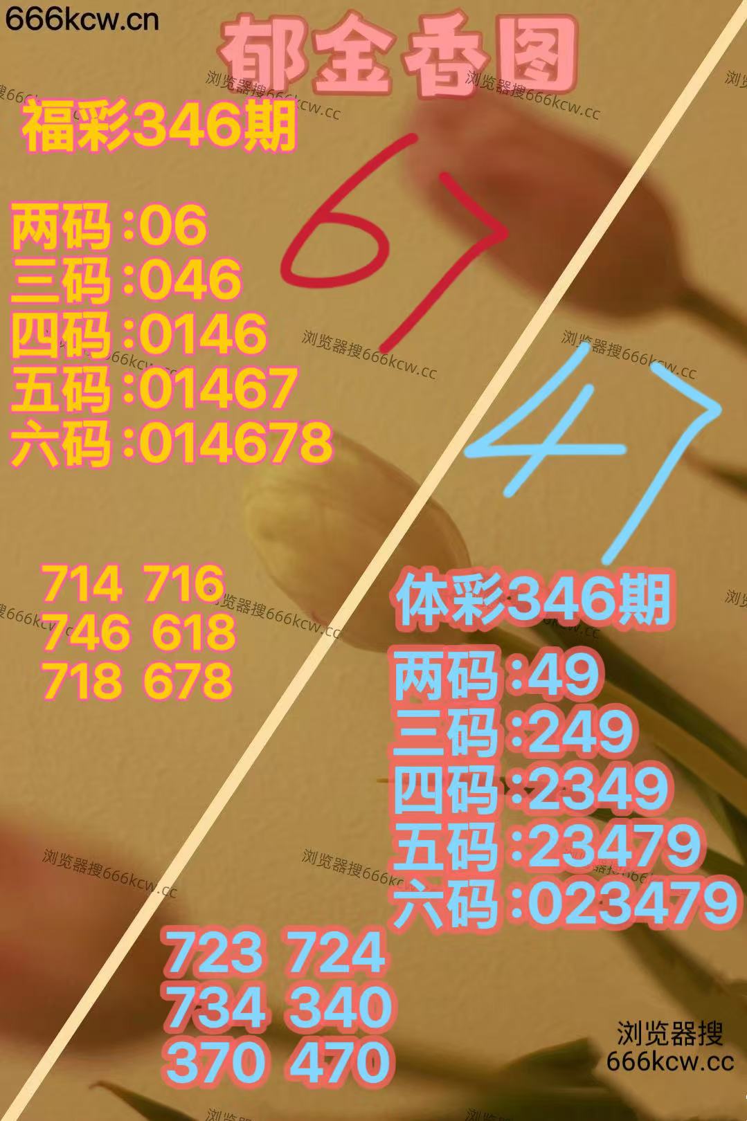 微信图片_20251226165826_5183_2