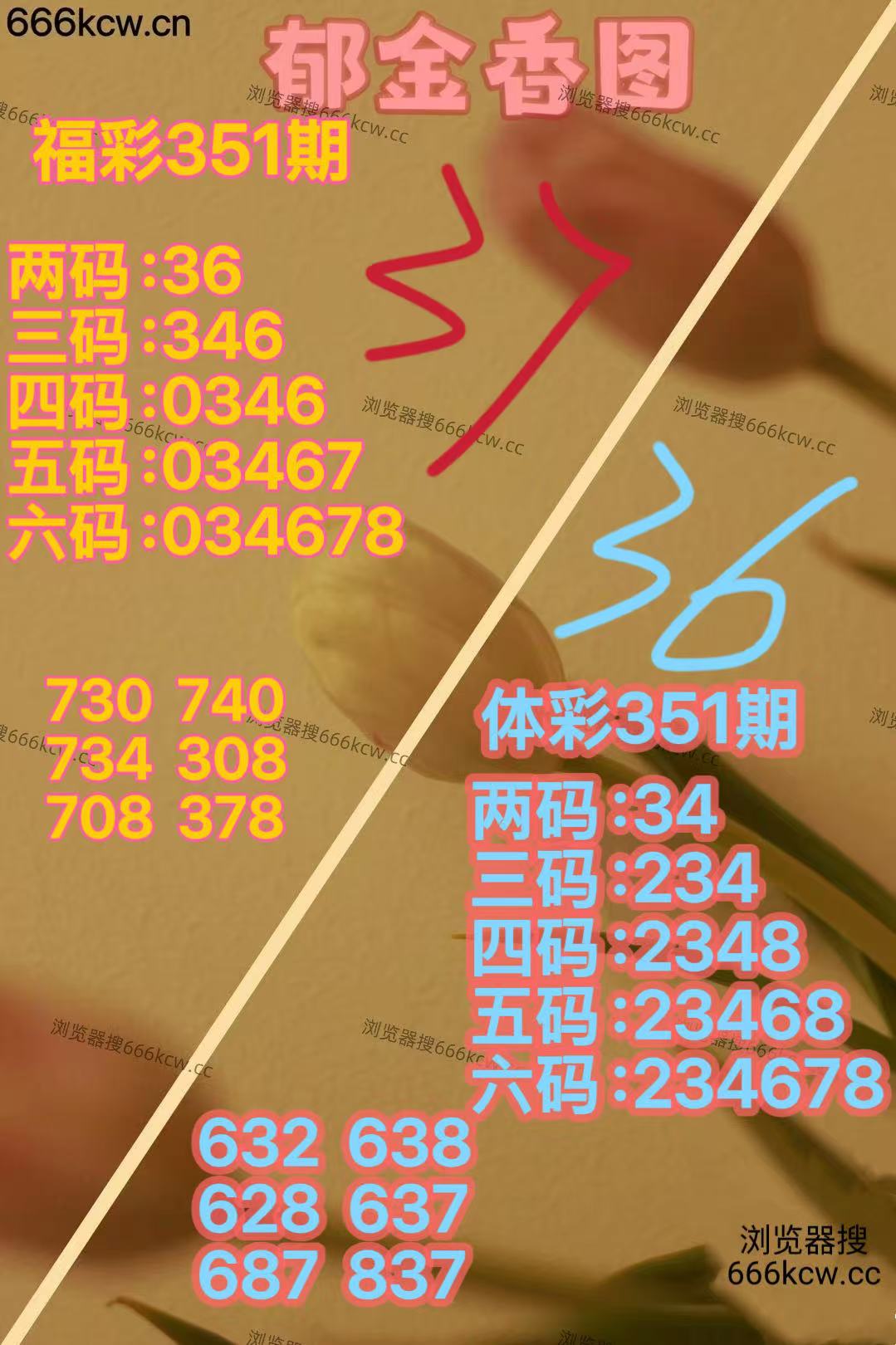 mmexport1767171484545